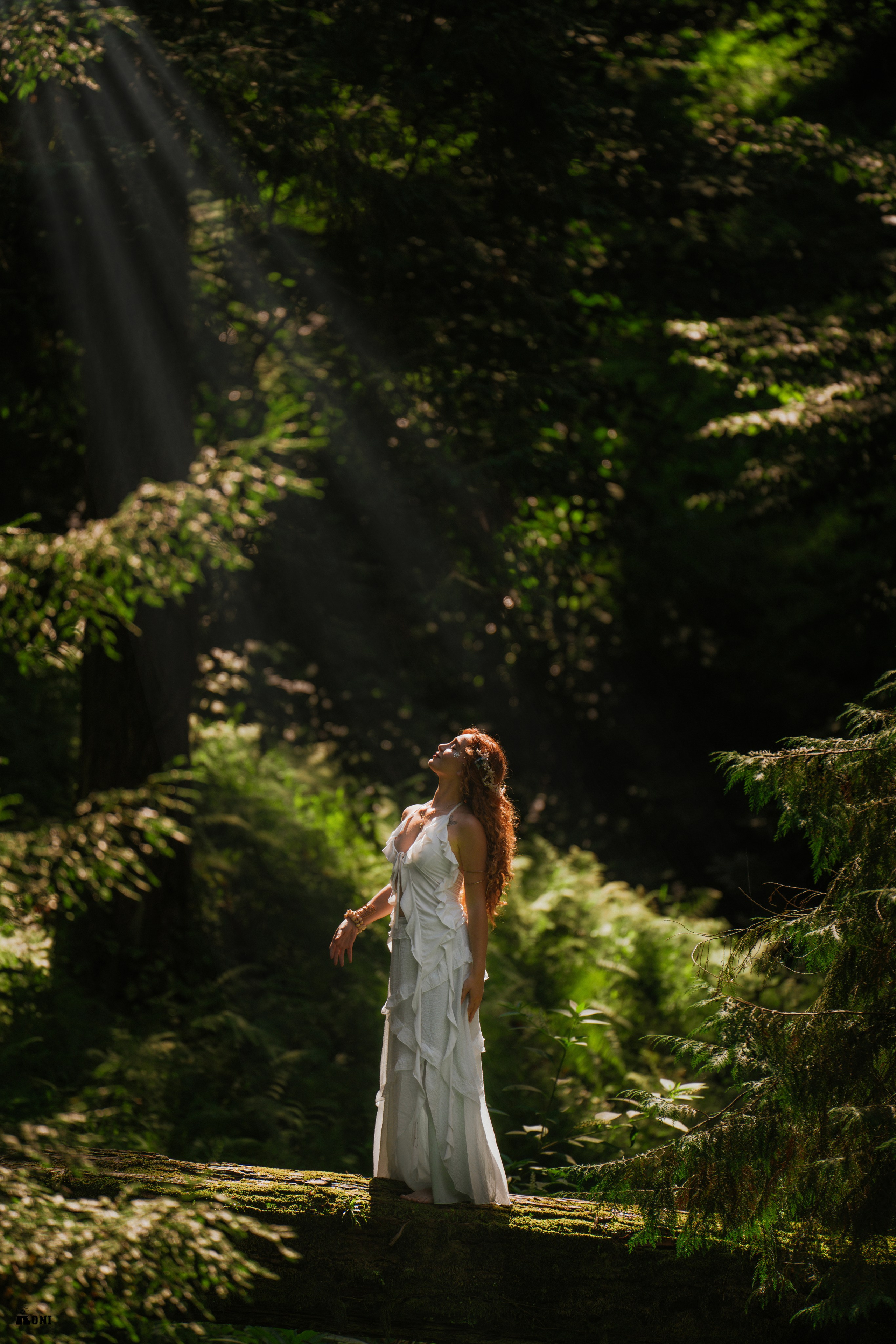 Wedding Portrait Photographer