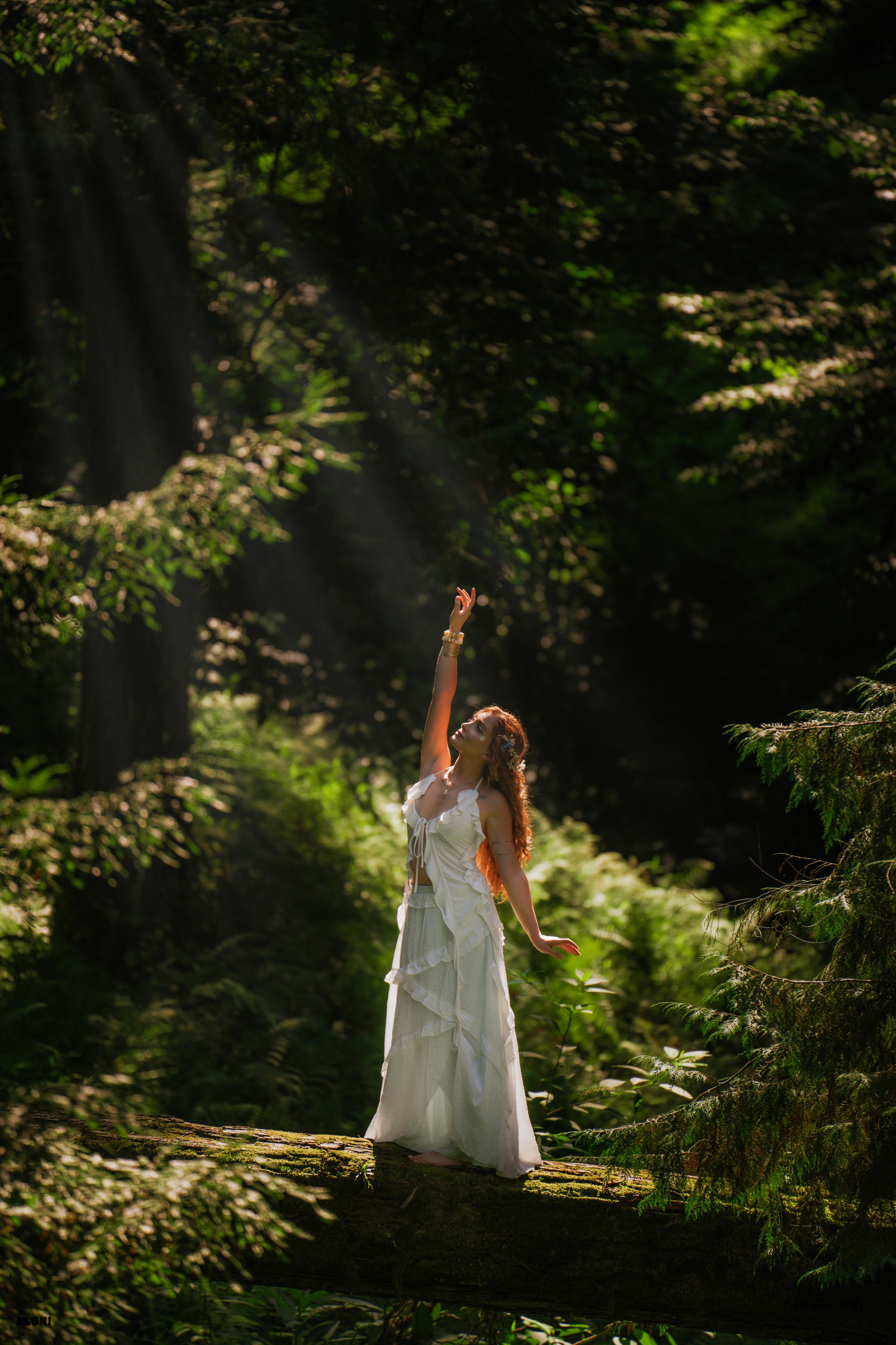 Wedding Portrait Photographer