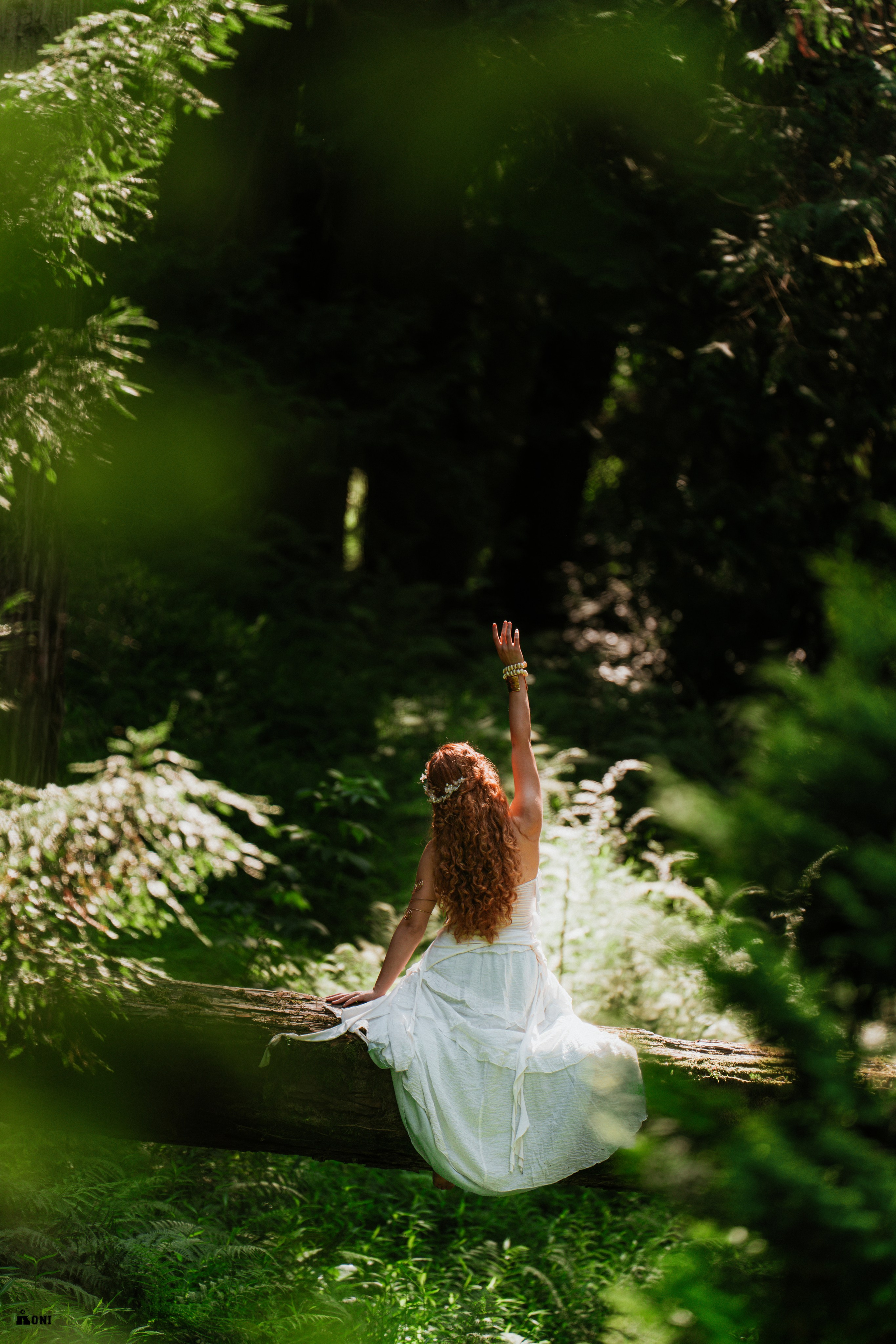 Wedding Portrait Photographer