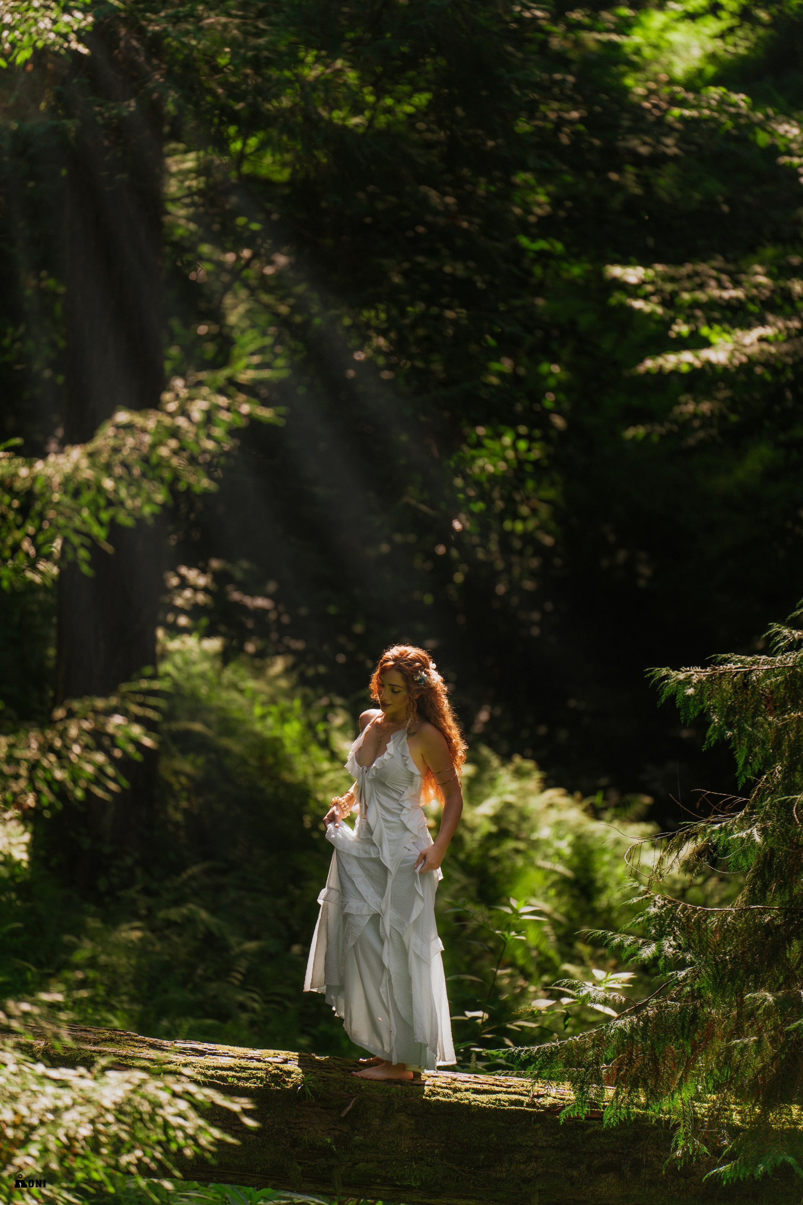Wedding Portrait Photographer