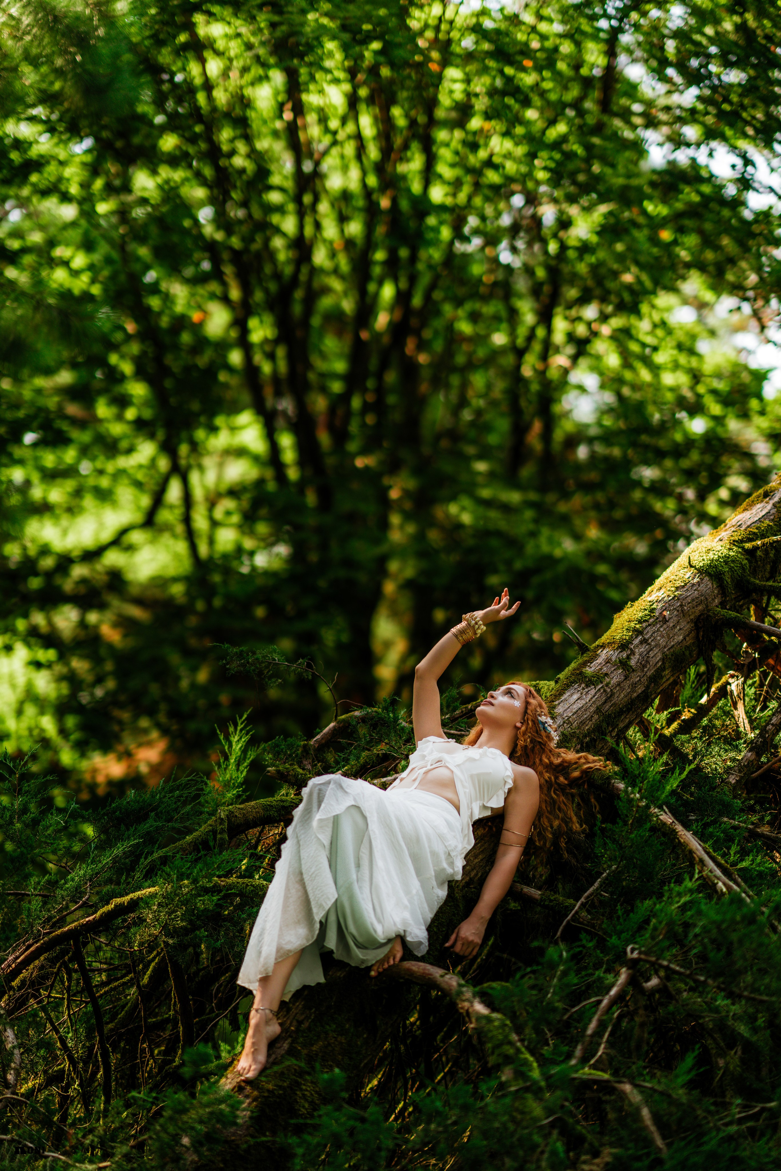 Wedding Portrait Photographer