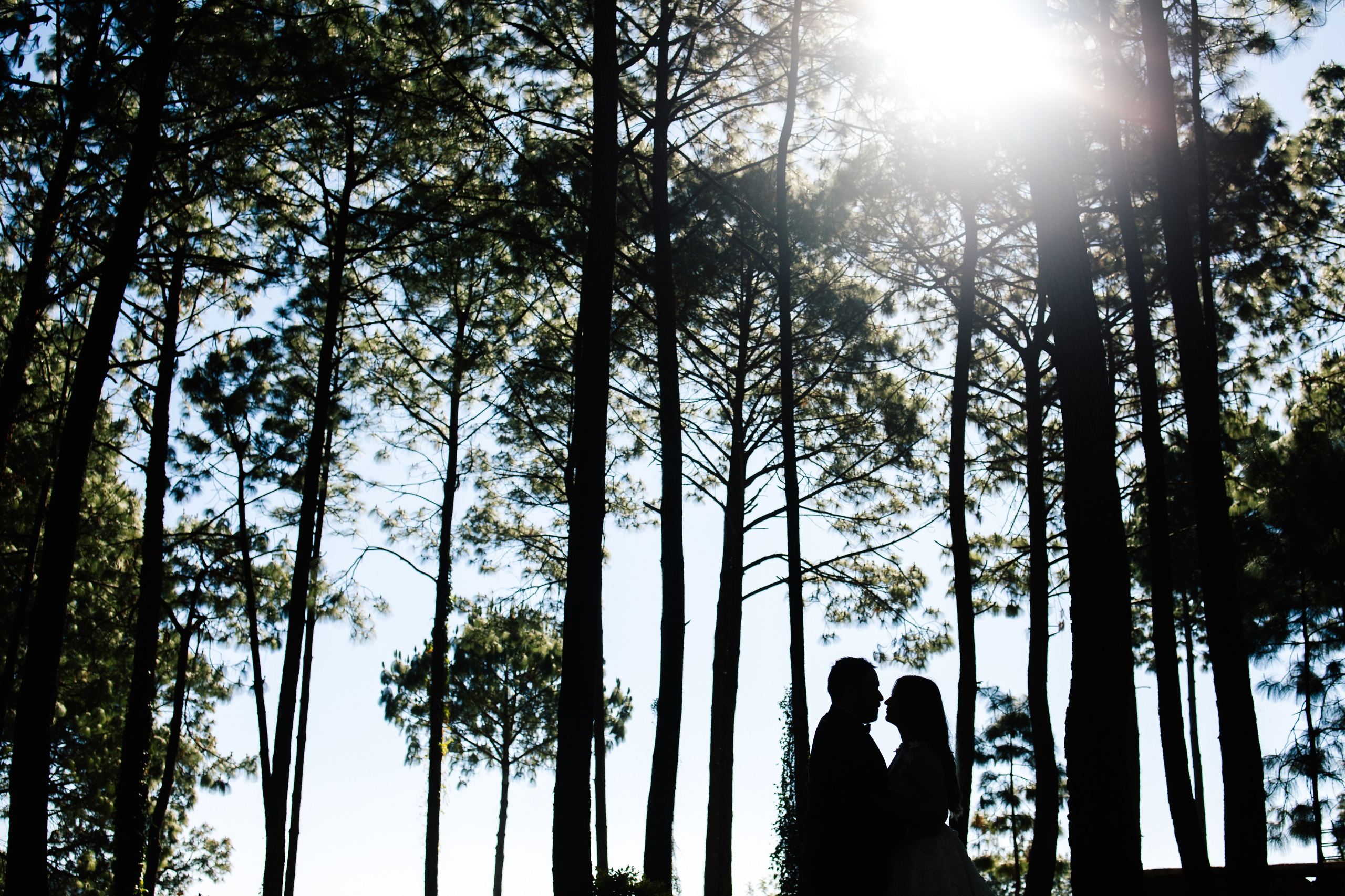 Trash Dani y Memo. Principal