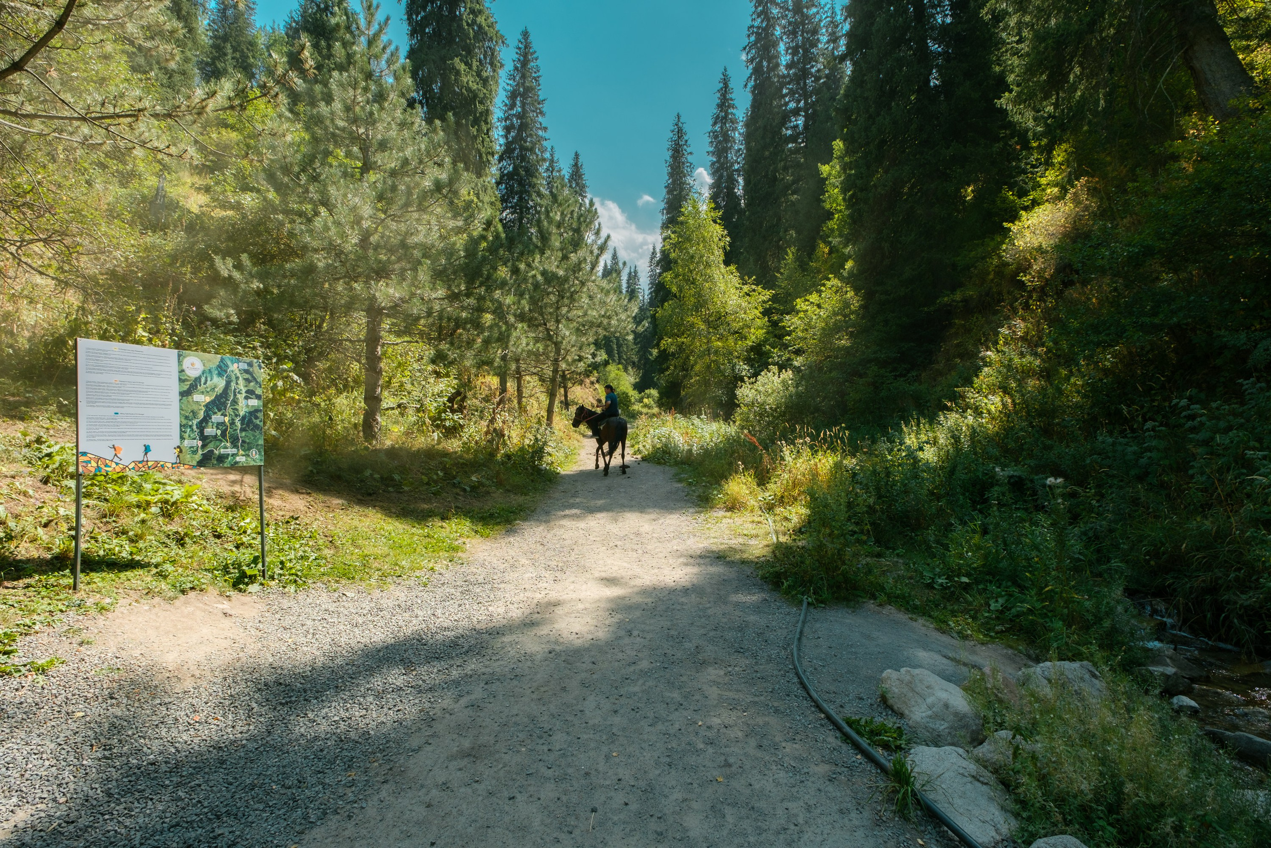 Sigma 12 mm F/1.4 DC DN Contemporary. Фотограф Григорий Кравец