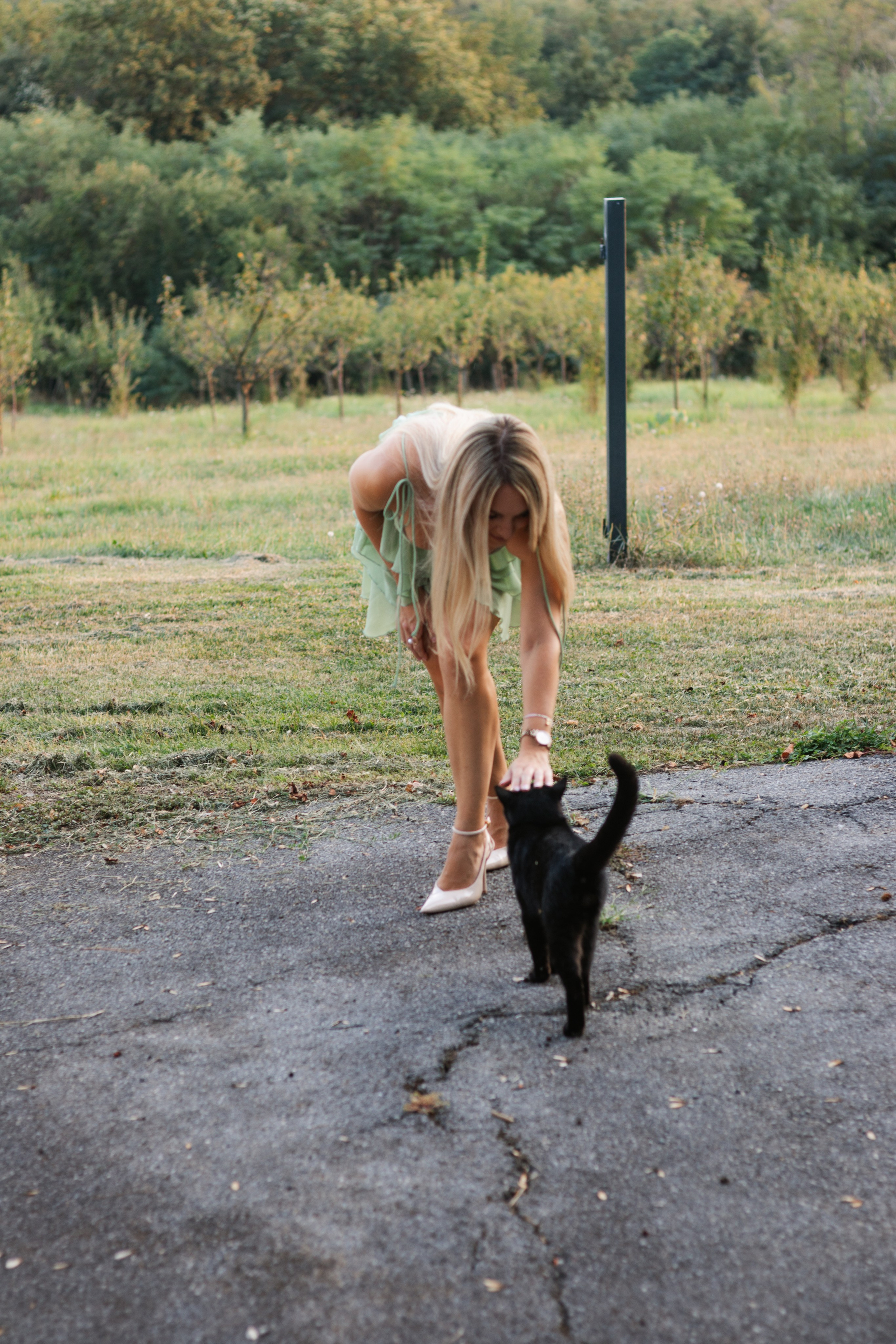 Tea — devojačko. Marizella Photography