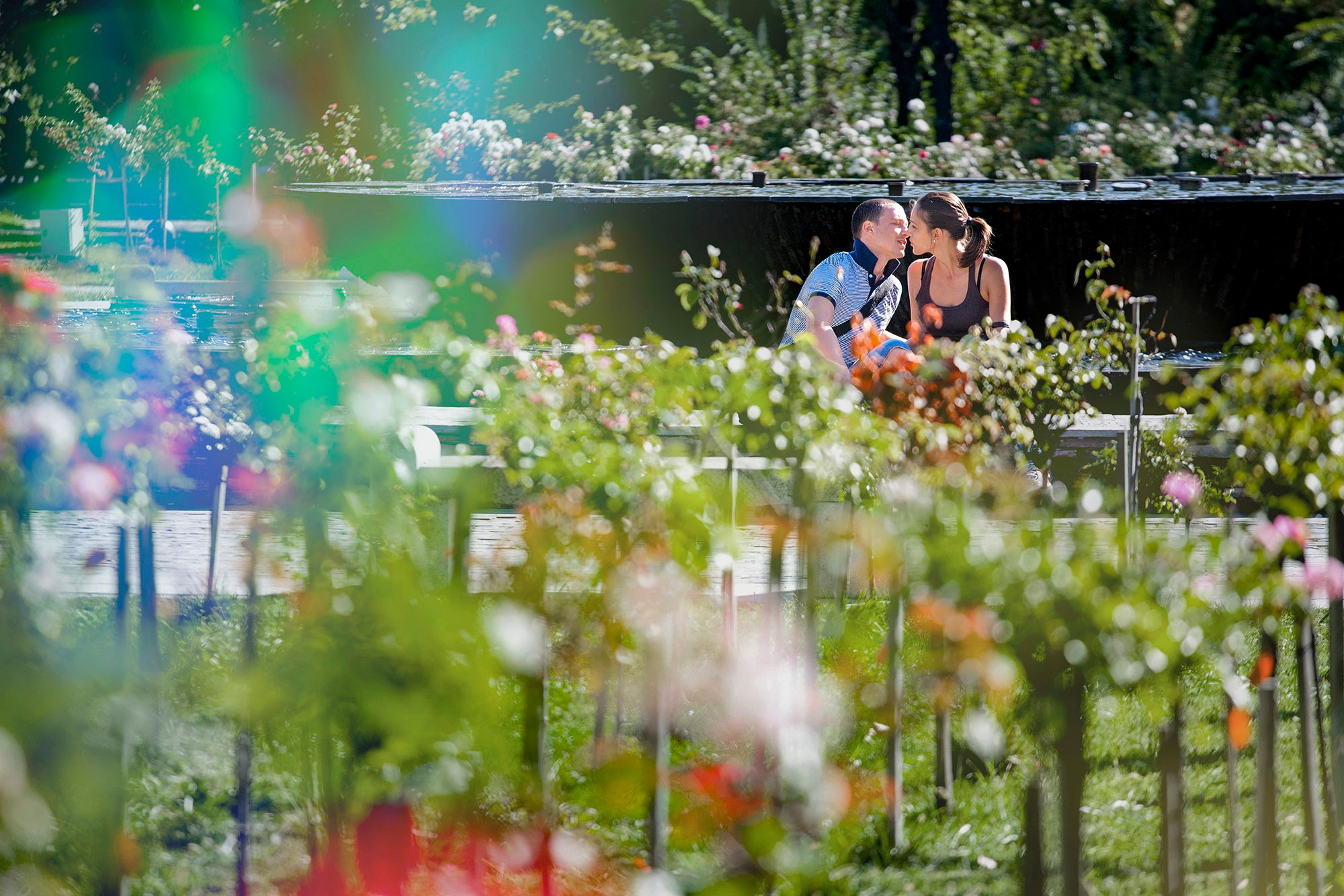 Ședință foto după nuntă – EduardFoto. Wedding, portrait and event photographer Bucharest | Eduard Foto