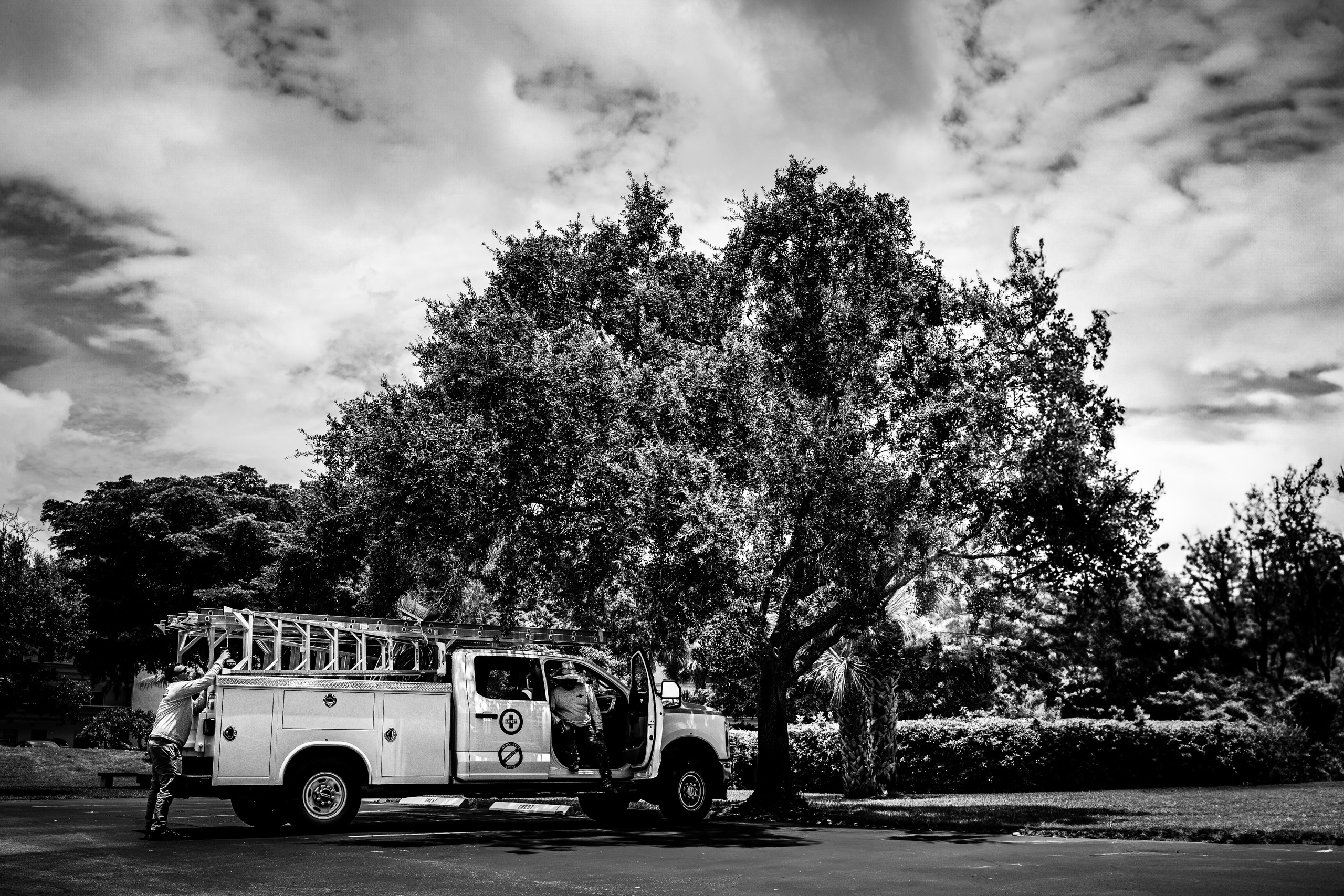 Black and White. Out and About 239