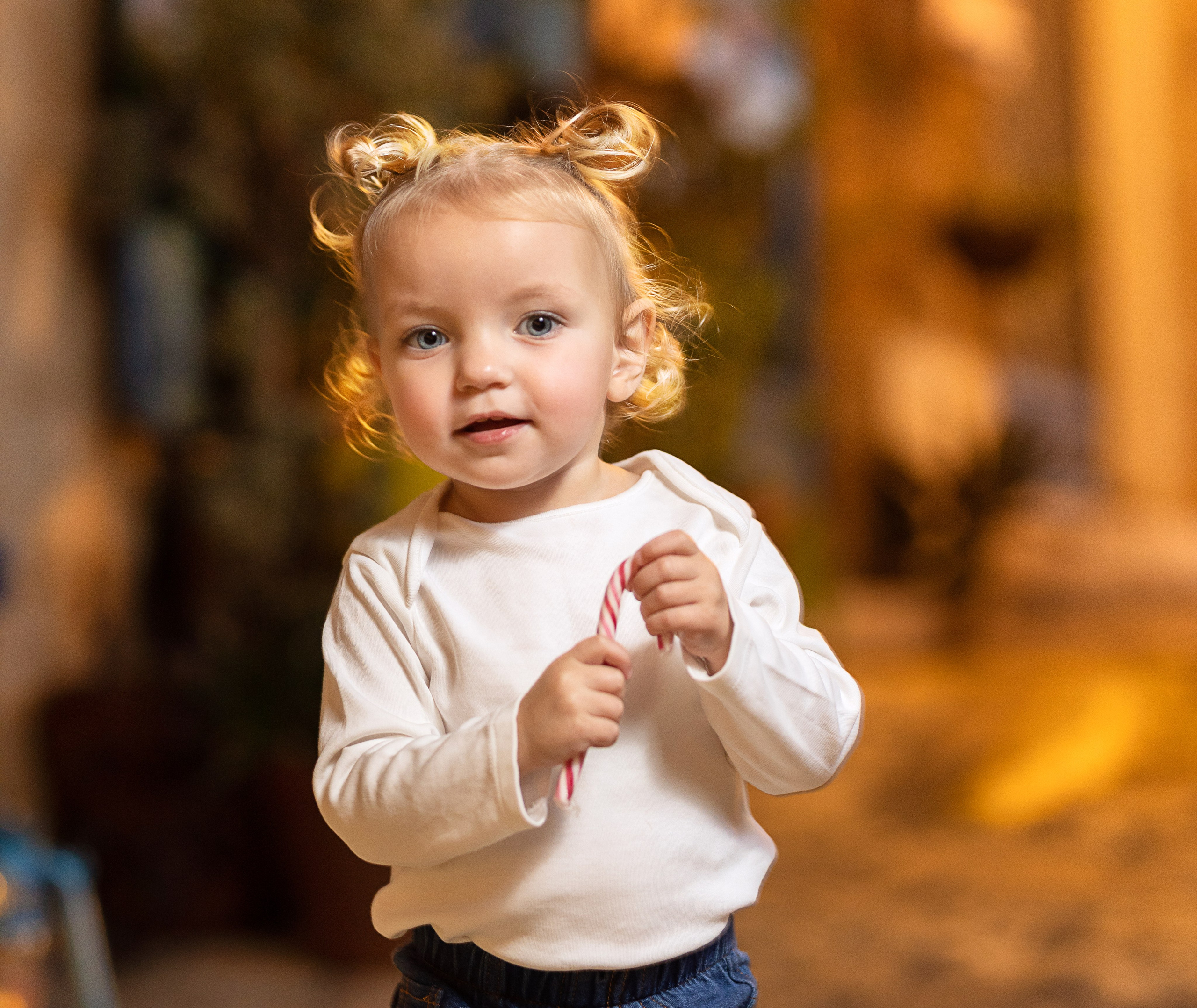 Christmas Photography. Professional photographer Serbia