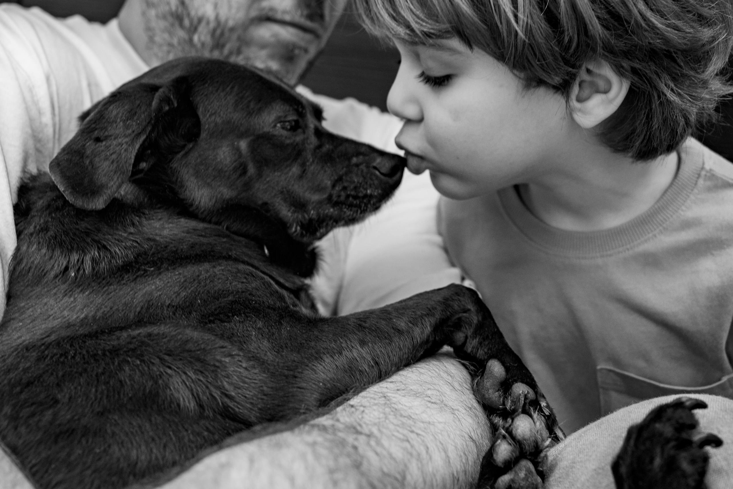 L.K.A.D. Семейный фотограф. Сербия. Нови-Сад. Белград