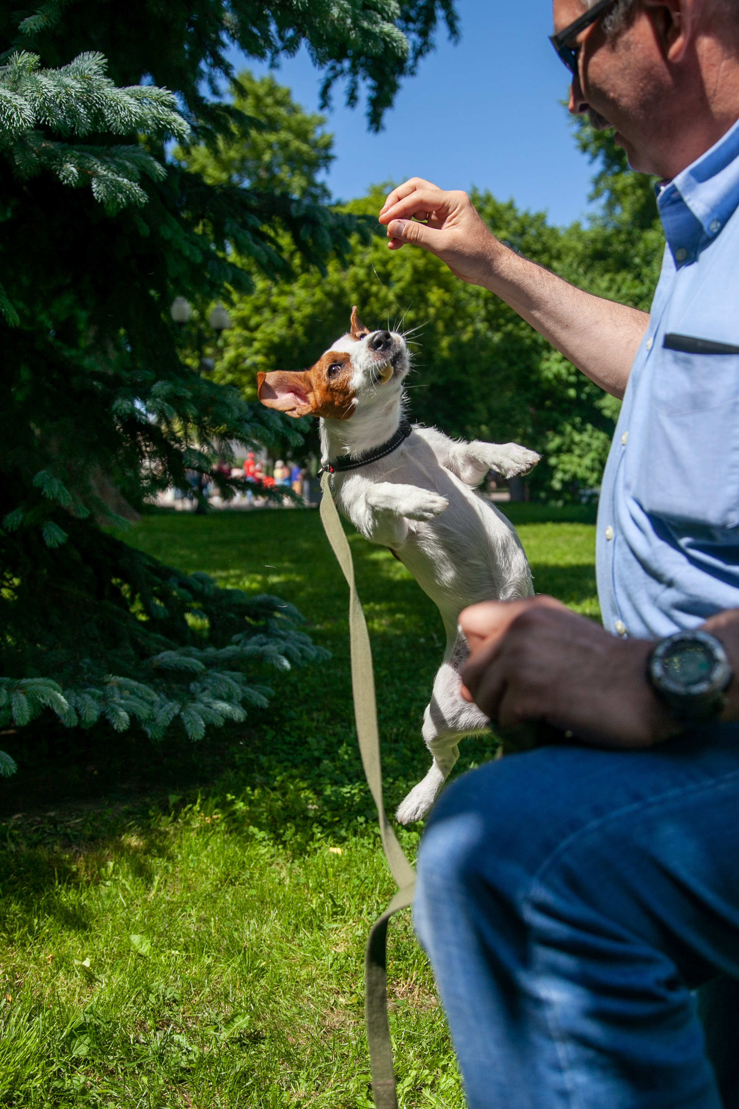 Family Photo Sessions in Charlotte | 202 Prod - Lifestyle Family Photographer. 202 production, NC