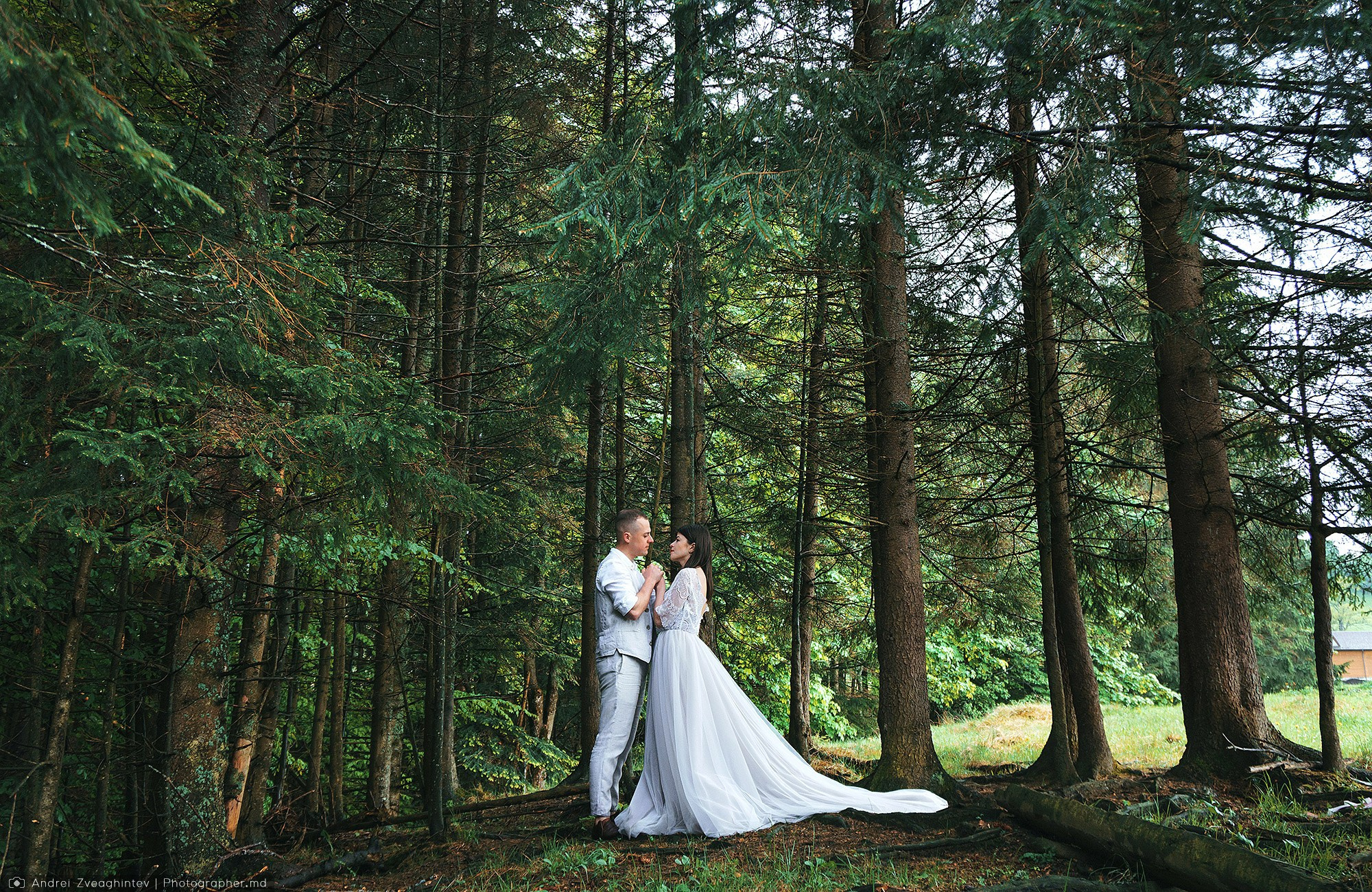 Sedinta foto in Carpati - fotograf Andrei Zveaghintev. Fotograf nunta si familie in Moldova, Chisinau - Andrei Zveaghintev