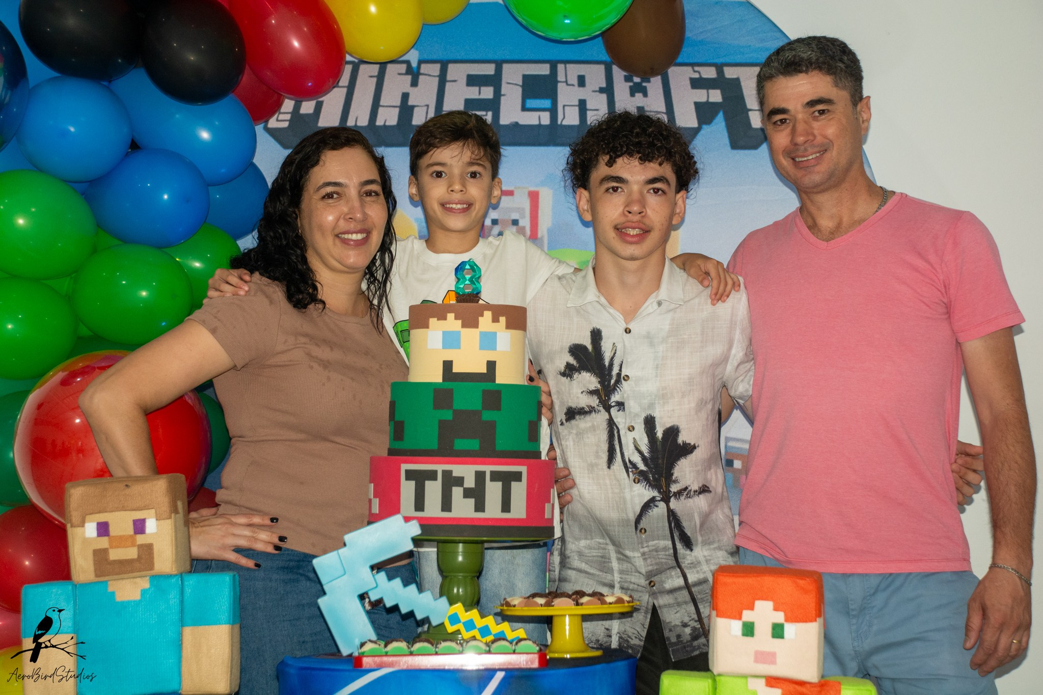 Leonardo 8 ano. AerobirdStudios