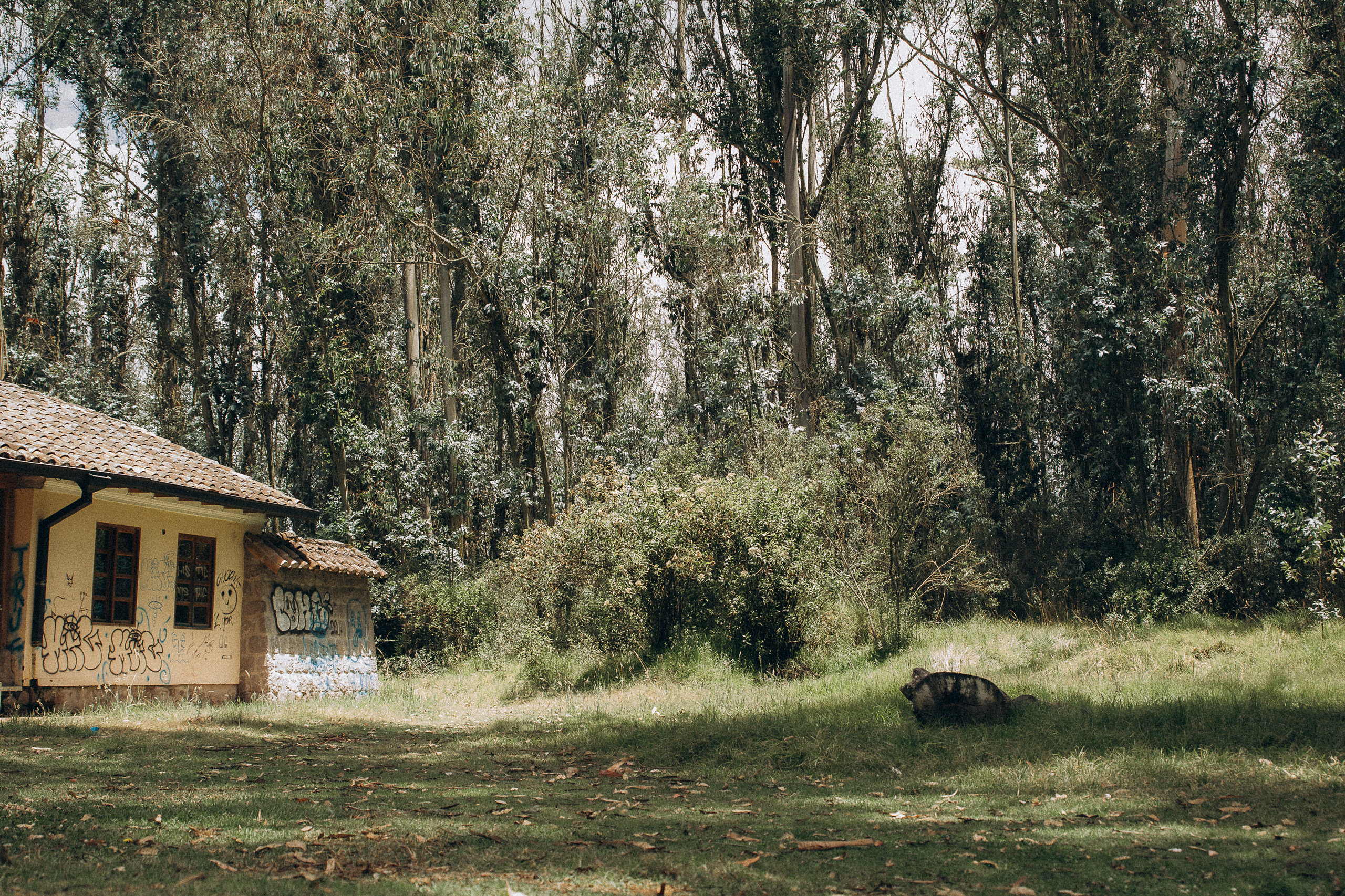 Sesión fotográfica de familia estilo lifestyle. Fotografo de familia en Quito Anastasia Eliseeva