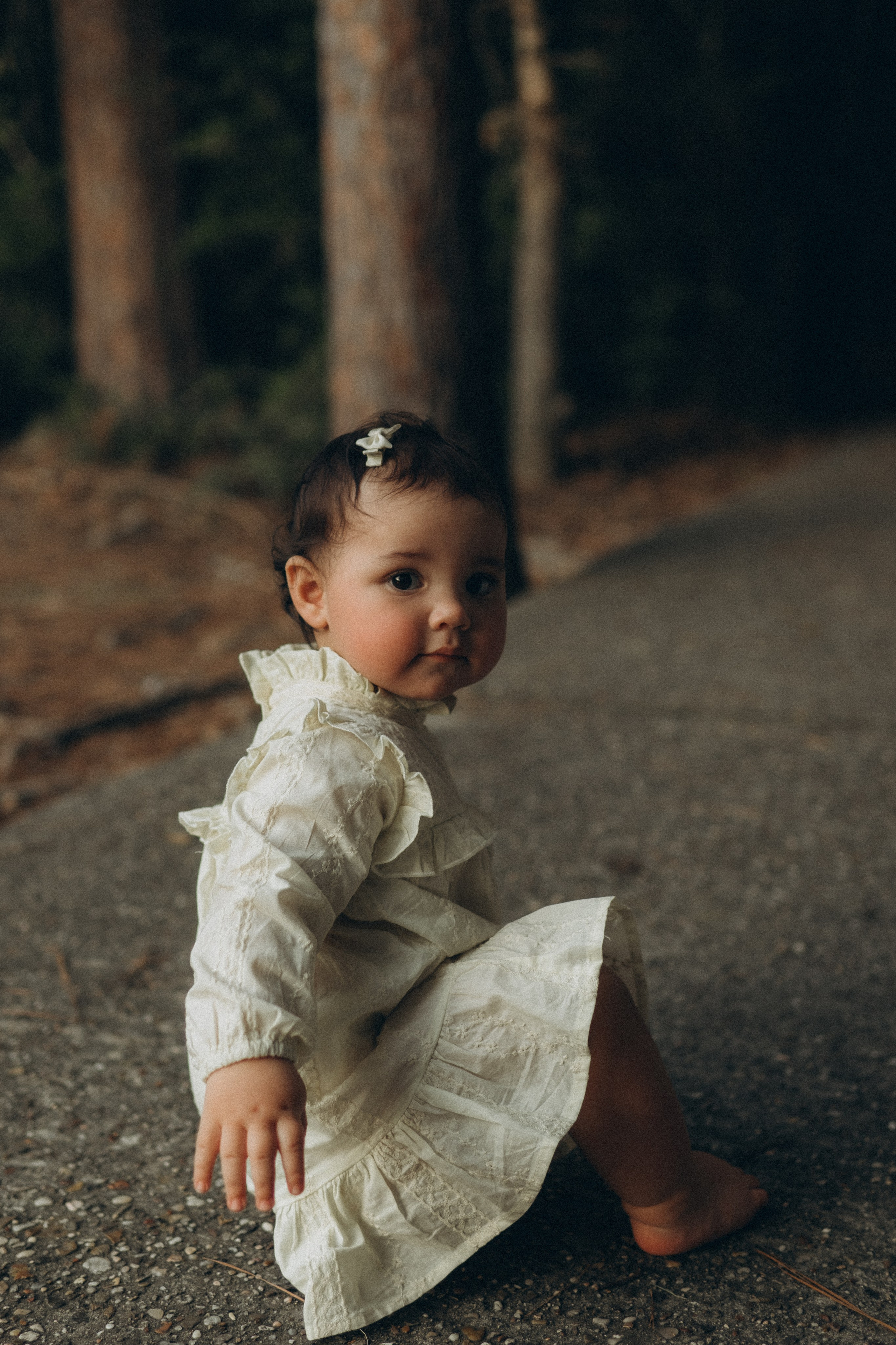 The Woodlands. Lens Captures Life