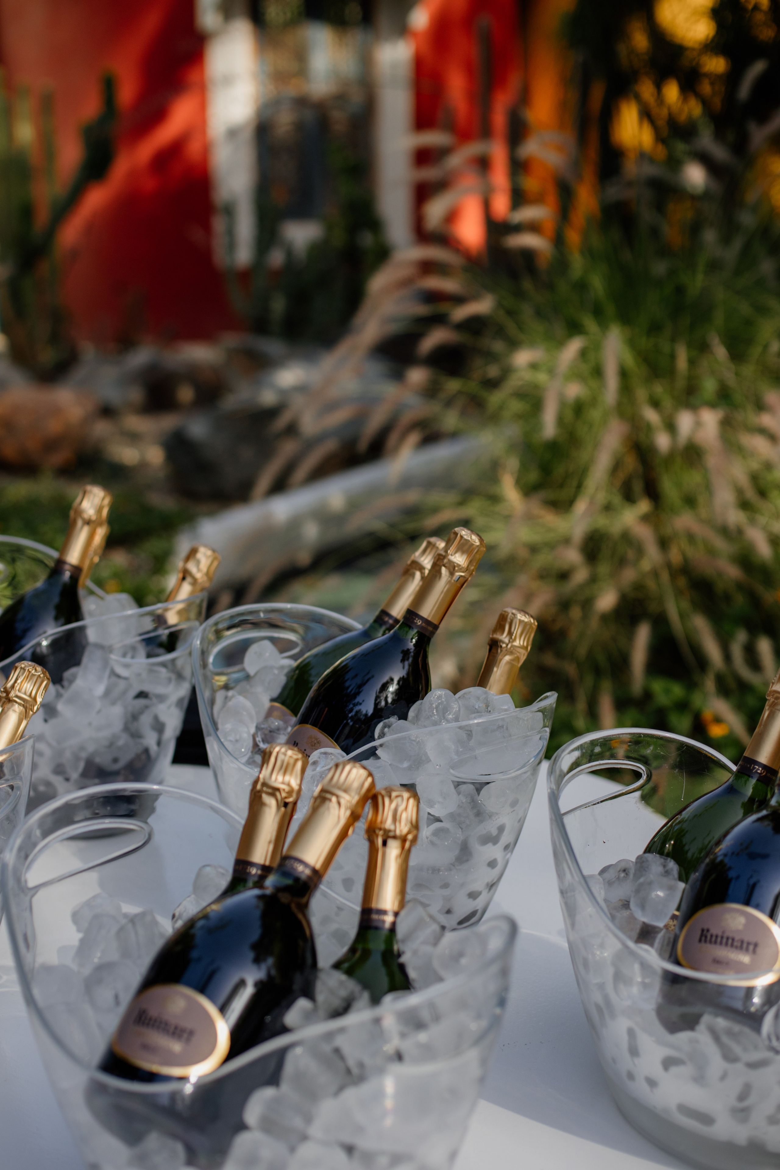 Payabl. Summer Party. Family and business portrait’s photographer in Cyprus