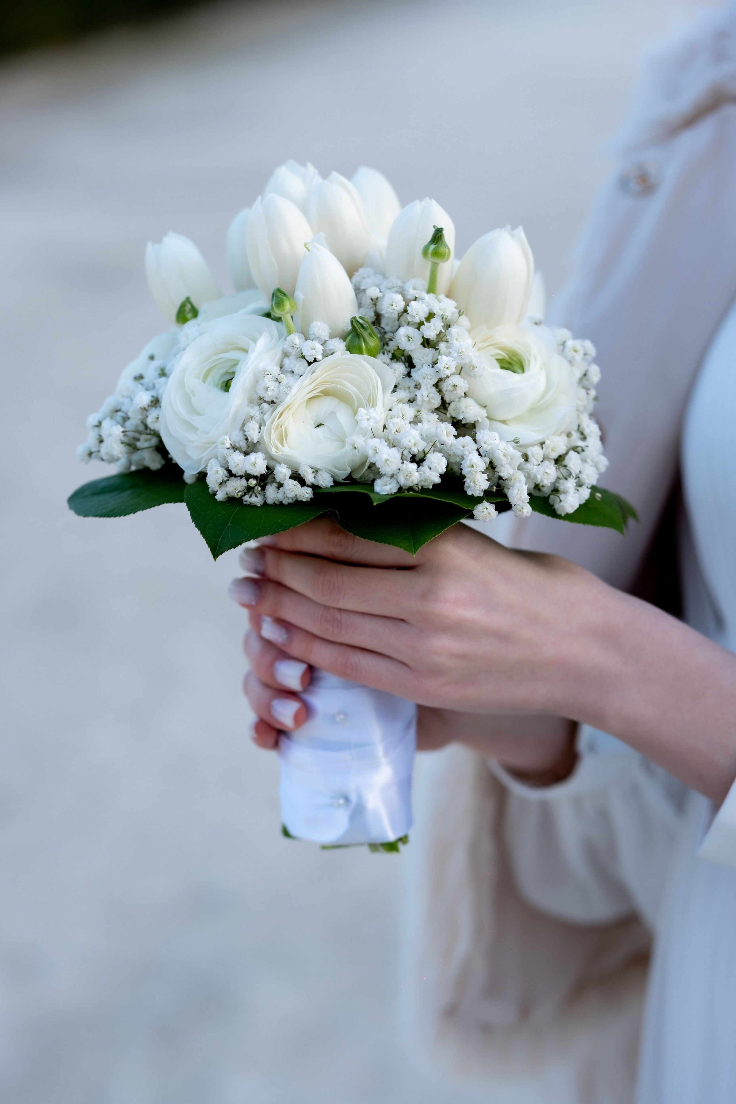 N&C. Grosu Photography