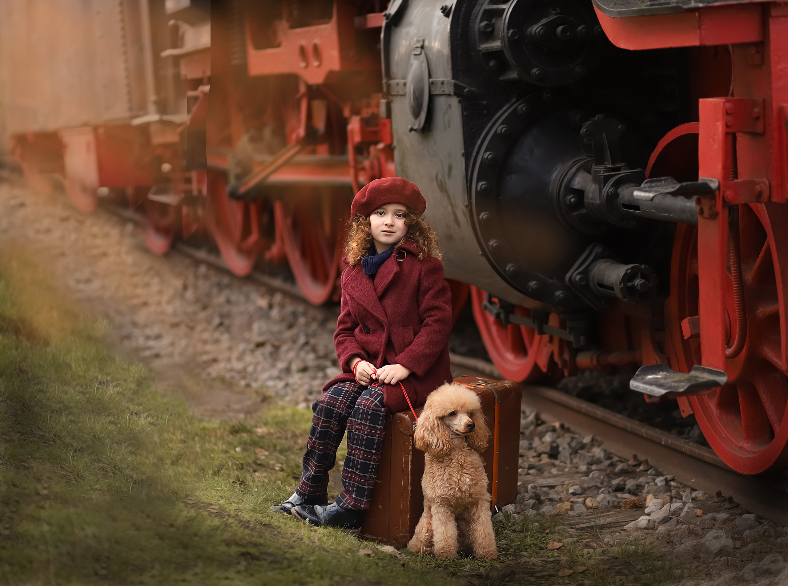 Tierfotografie. Familien und Hochzeitfotograf in Molbergen, Cloppenburg, Münsterland