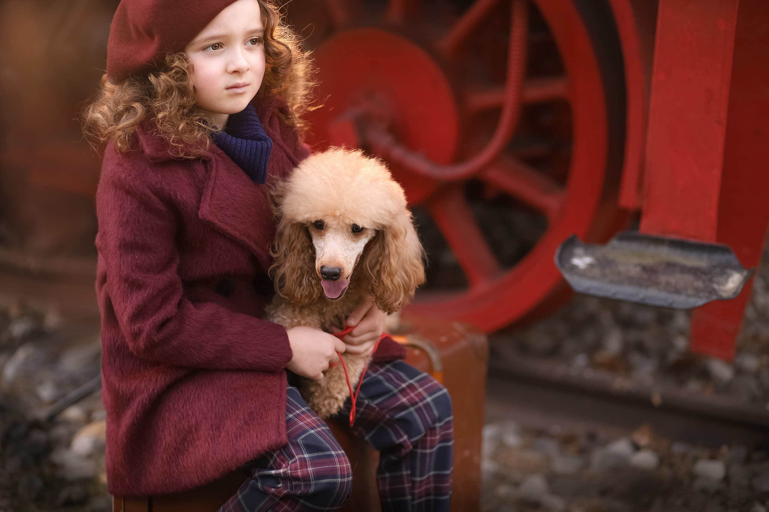 Tierfotografie. Familien und Hochzeitfotograf in Molbergen, Cloppenburg, Münsterland