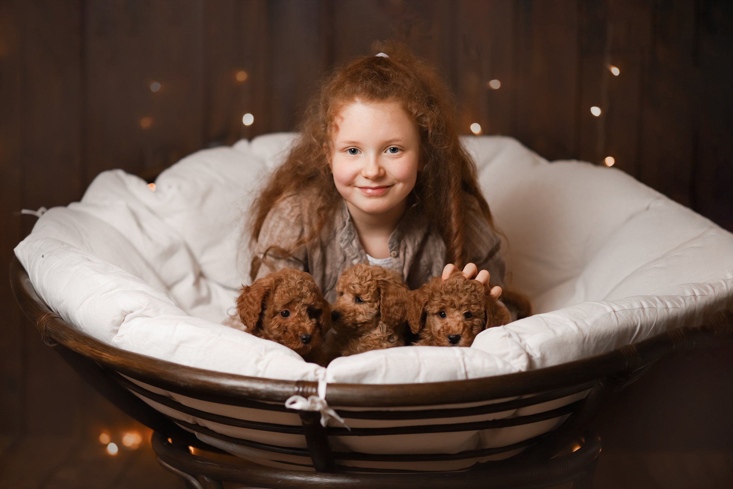 Tierfotografie. Familien und Hochzeitfotograf in Molbergen, Cloppenburg, Münsterland