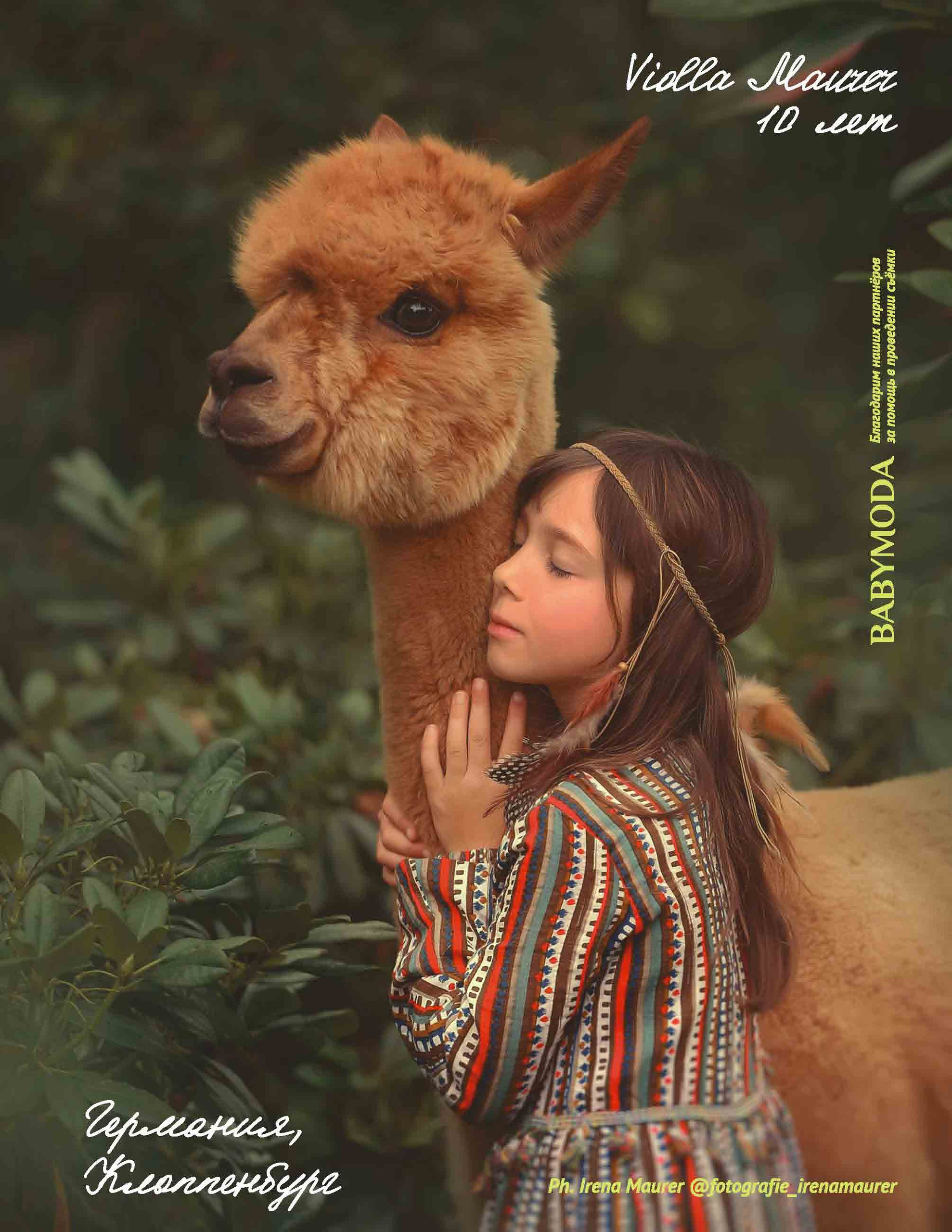 Zertifikate. Familien und Hochzeitfotograf in Molbergen, Cloppenburg, Münsterland