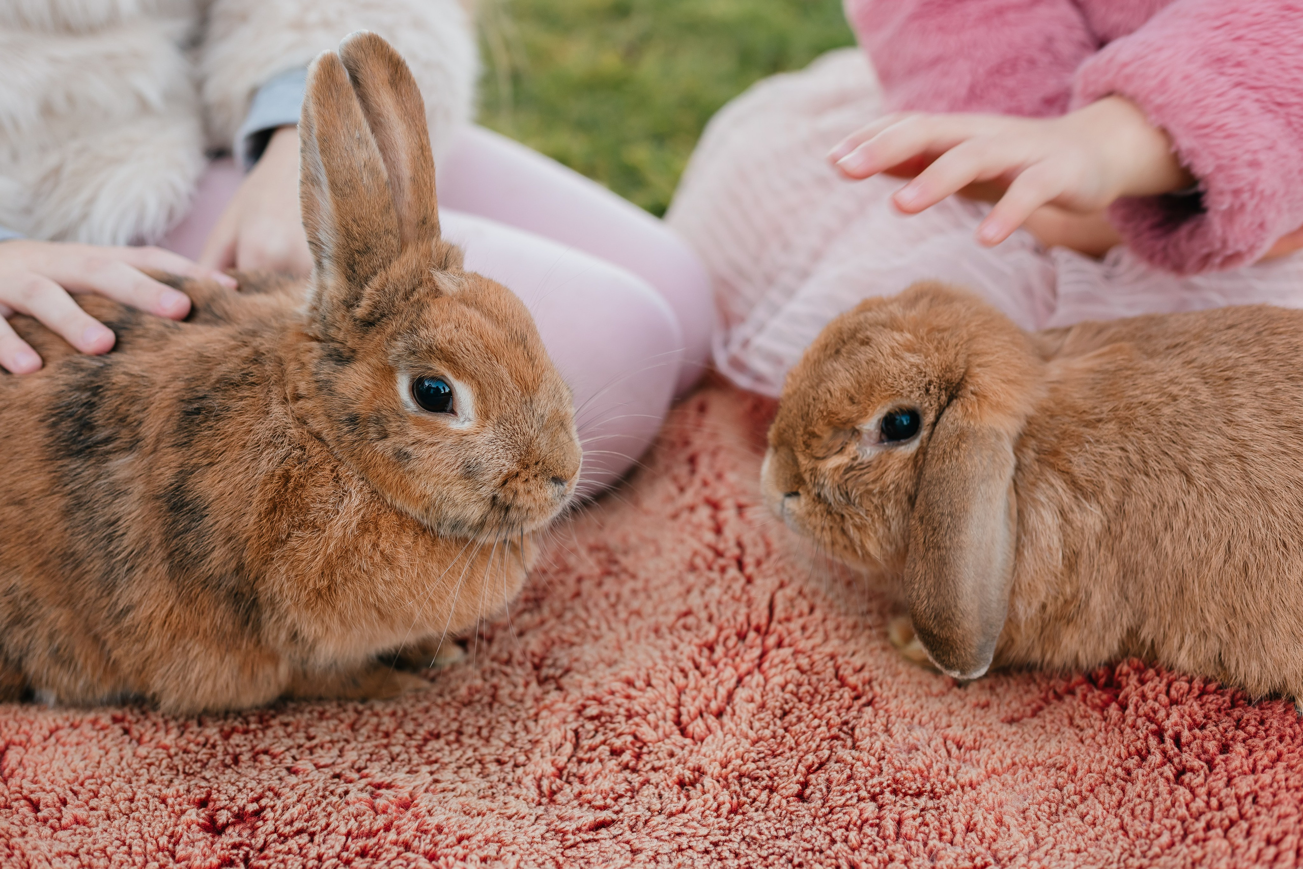 Familie / Kinder. Fotografin Larysa Chepurko| Füssen| Garmisch-Partenkirchen| Weilheim| Schongau| Murnau| München | Hochzeitsfotograf Füssen | Larysa Photo