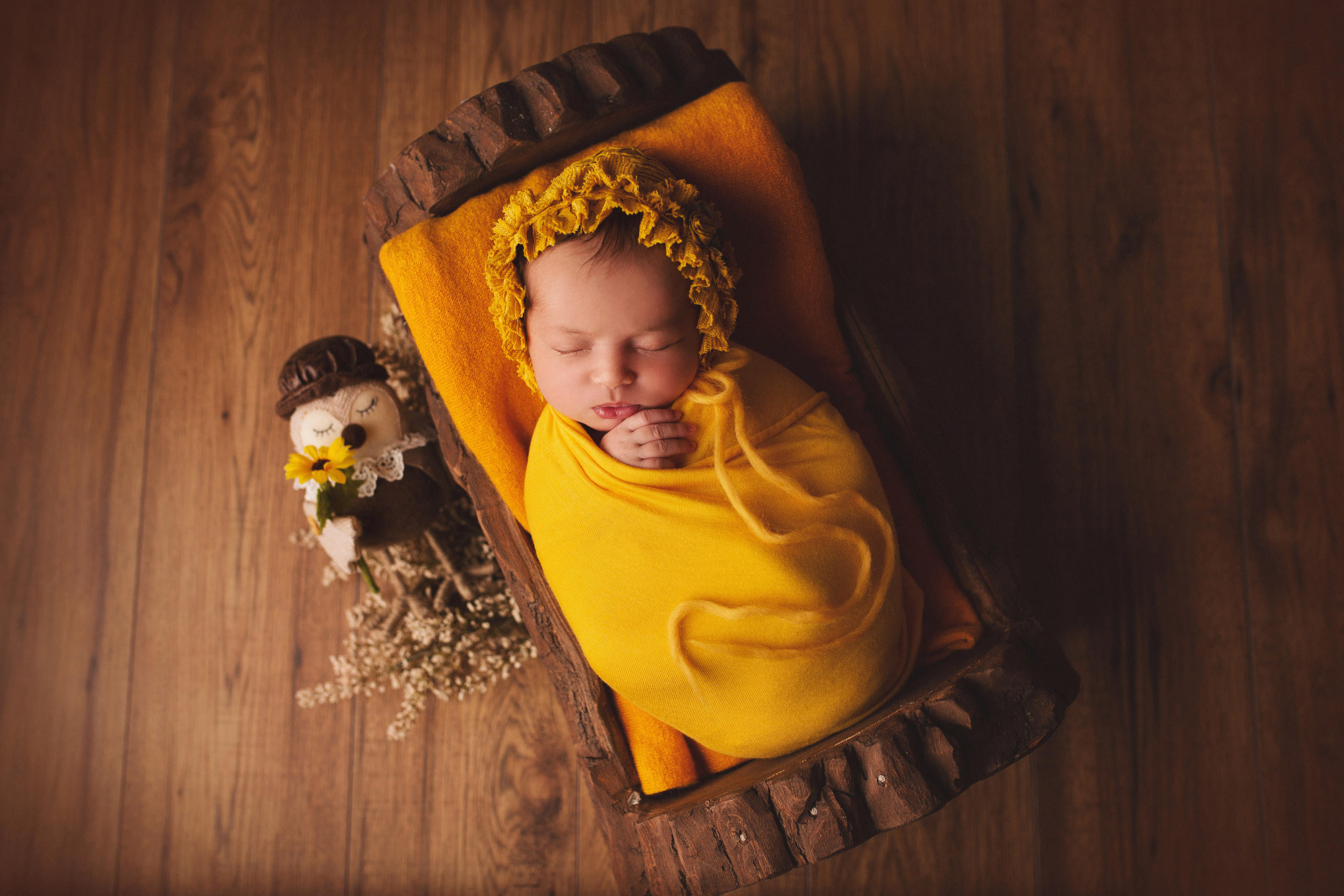 Ottawa Newborn and Baby Newborn Photographer Elena Helali