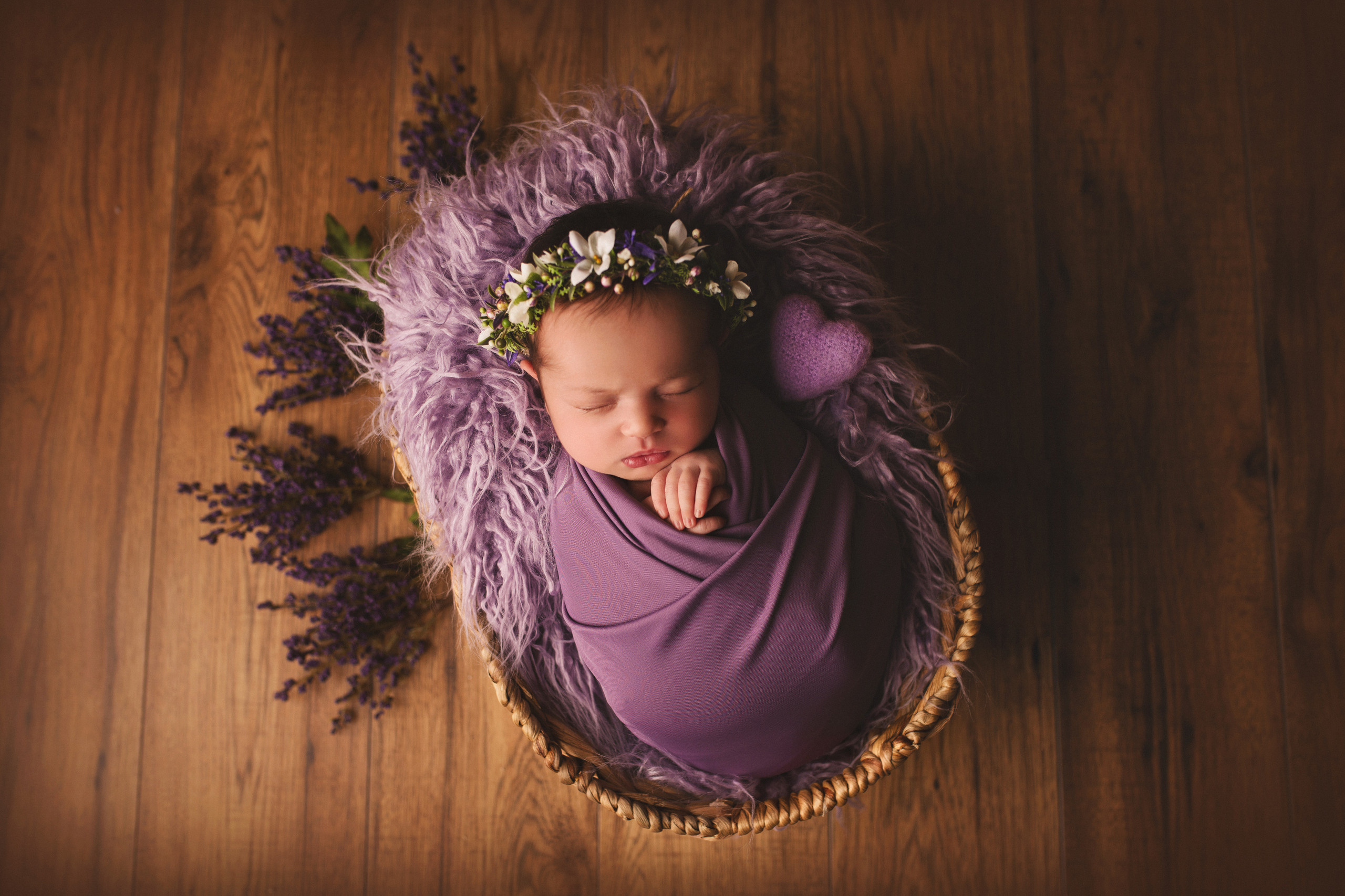 NEWBORN. Ottawa Newborn and Baby Newborn Photographer Elena Helali
