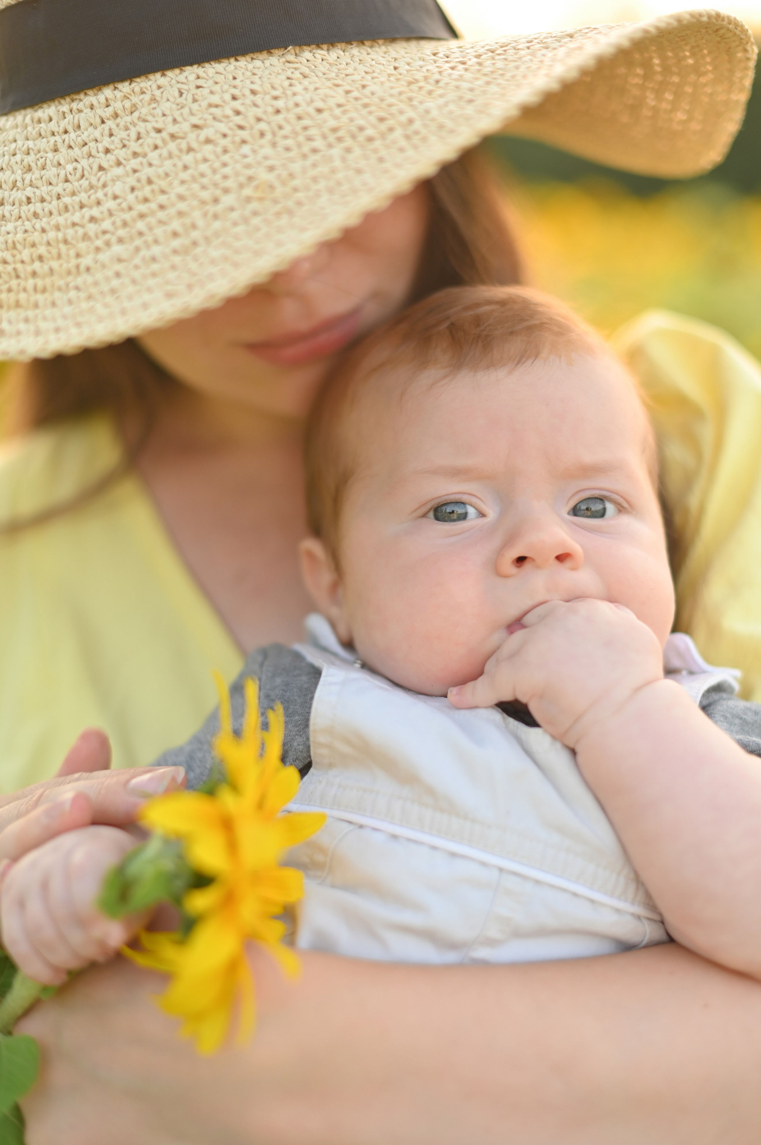 Подсолнухи. Детский и семейный фотограф в финляндии дина пулкка. контент фотограф