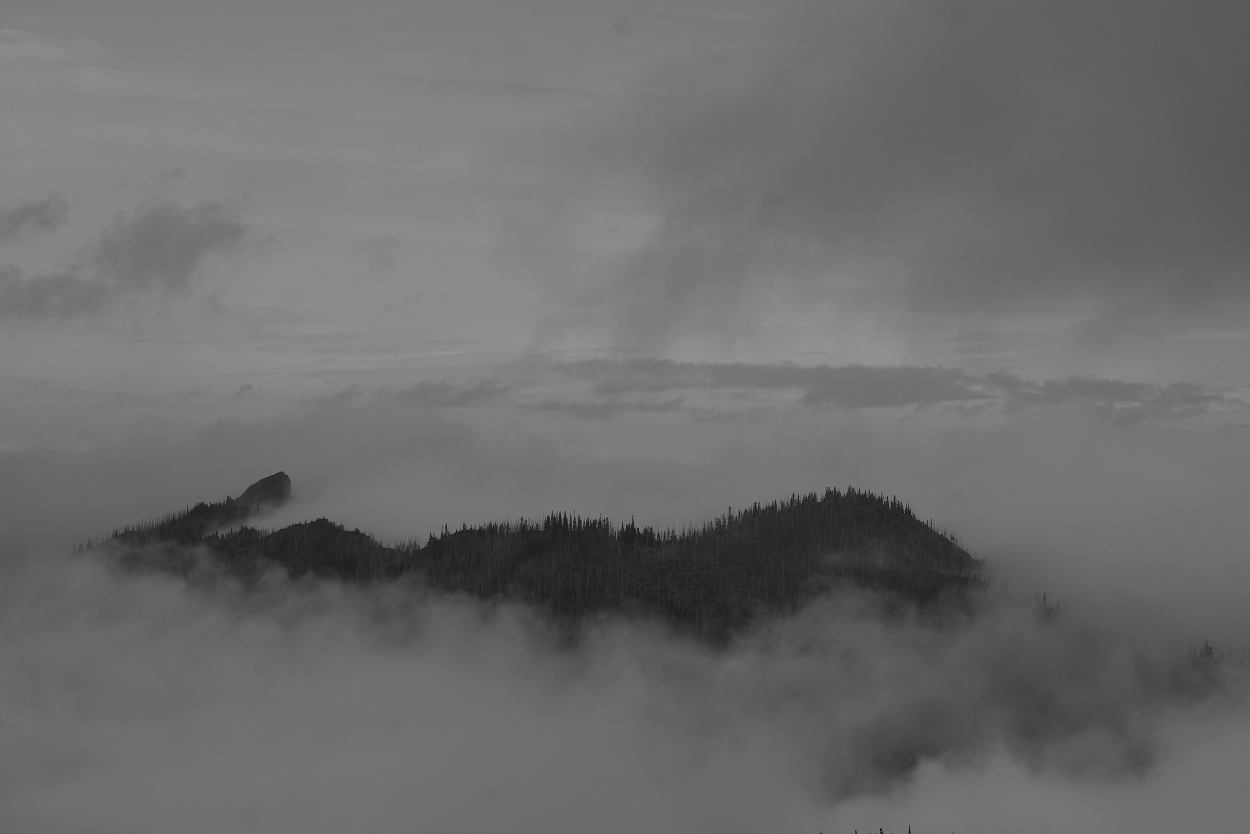 Photographer New York / Los Angeles