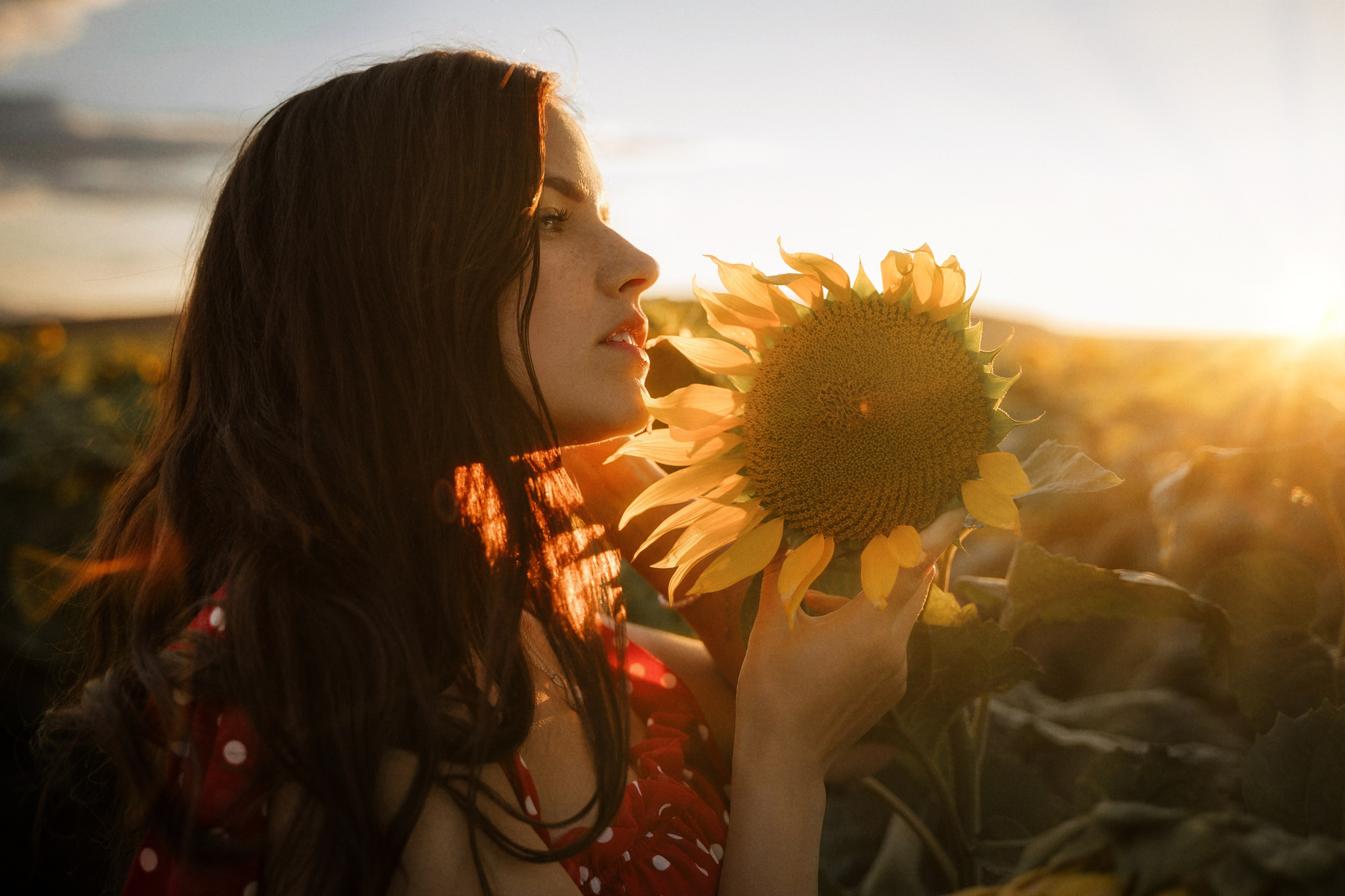 Elegant sunset portrait of young woman in sunflower field, Marbella photographer