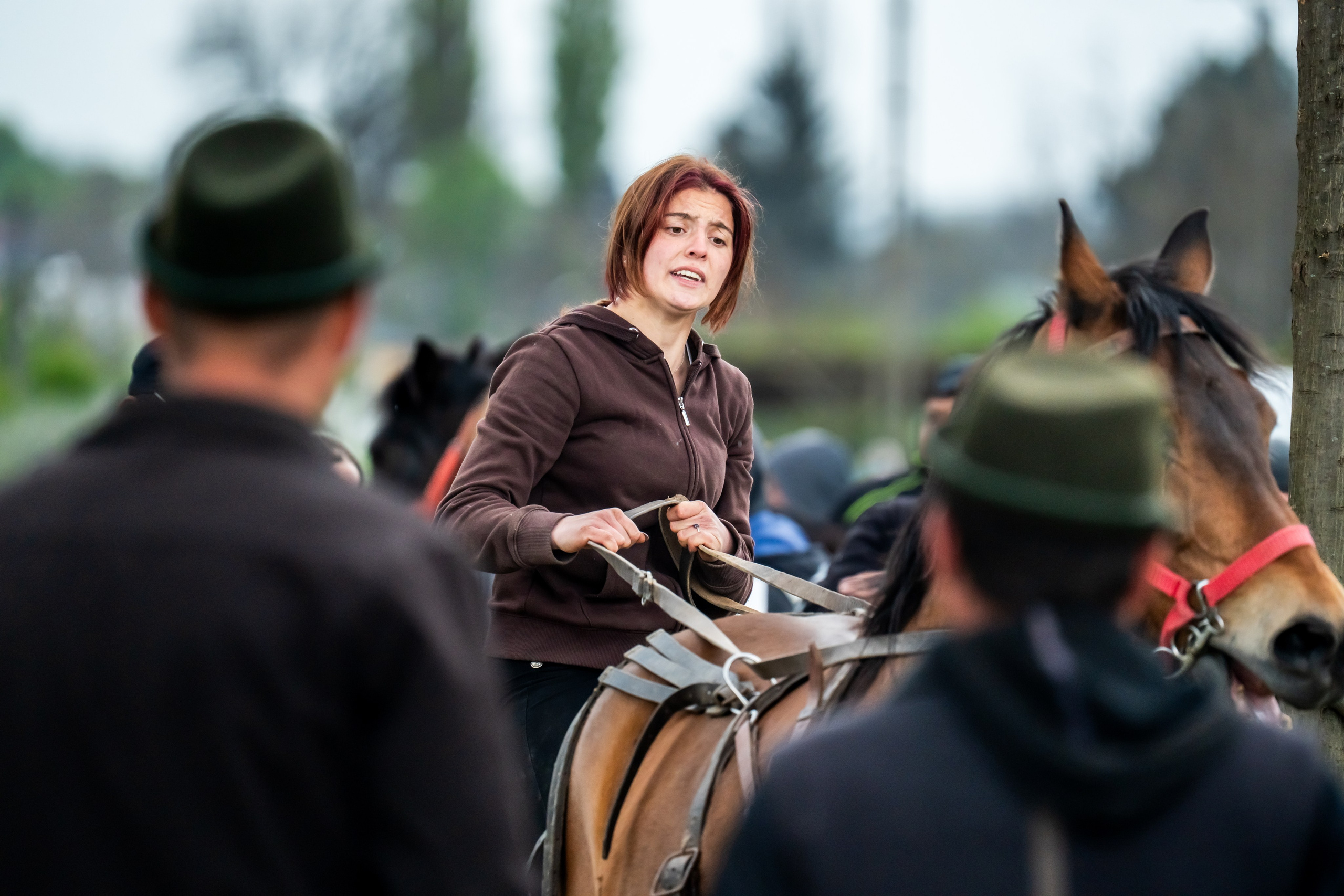 Concurs Ecvestru Vărbilău ediția a 4-a. Mihai Alexandra Events