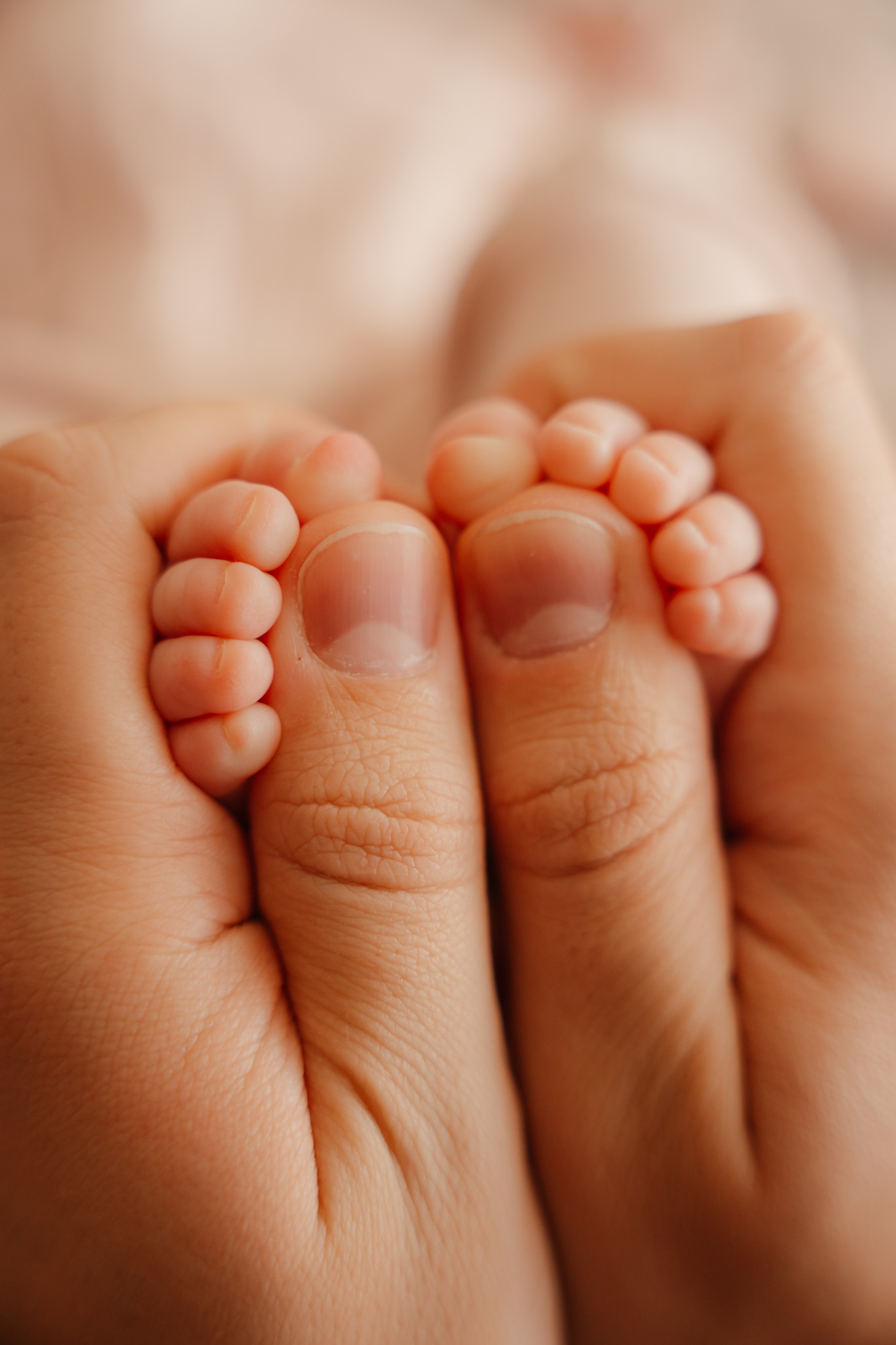 Porodična fotografisanja. Porodični fotograf