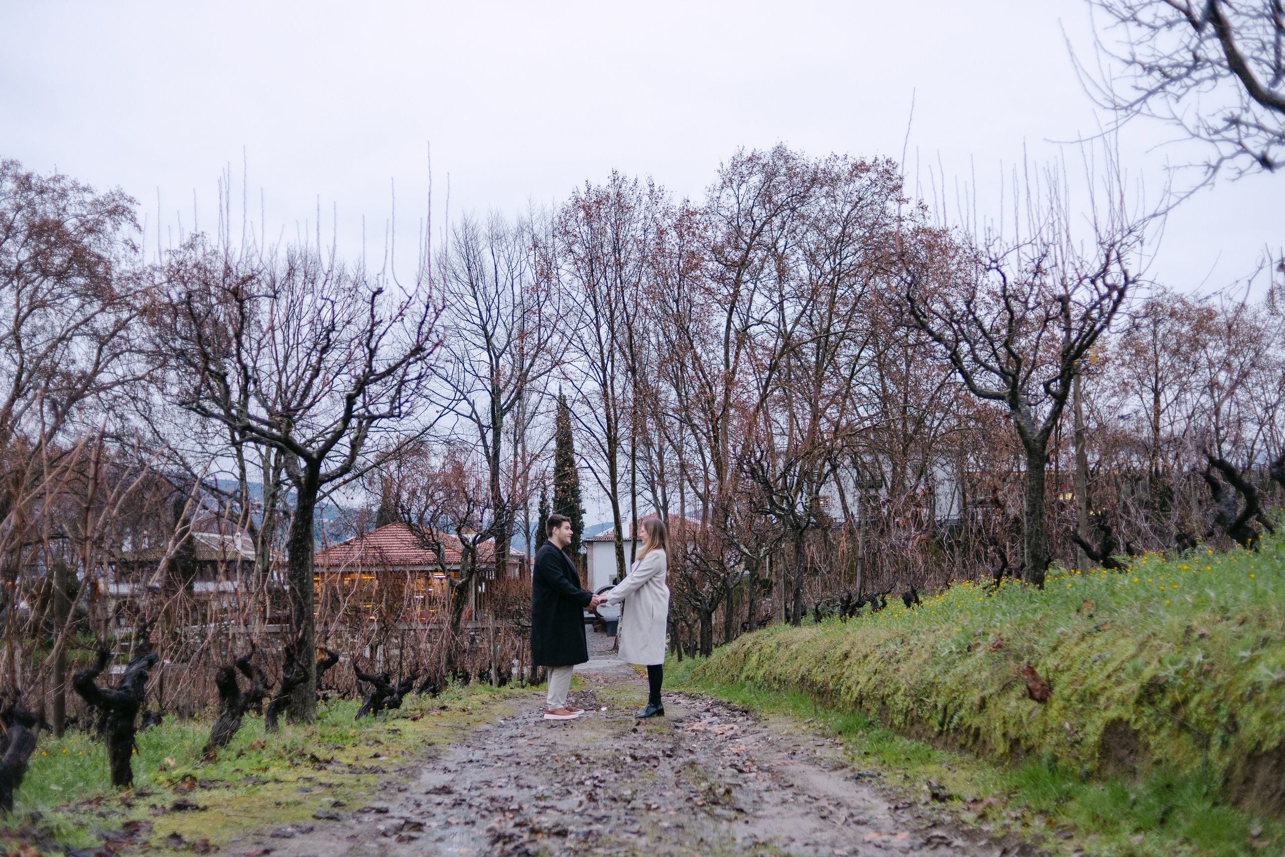 Proposal Sandro — Quinta Pacheca. Wedding and couple photographer in Porto