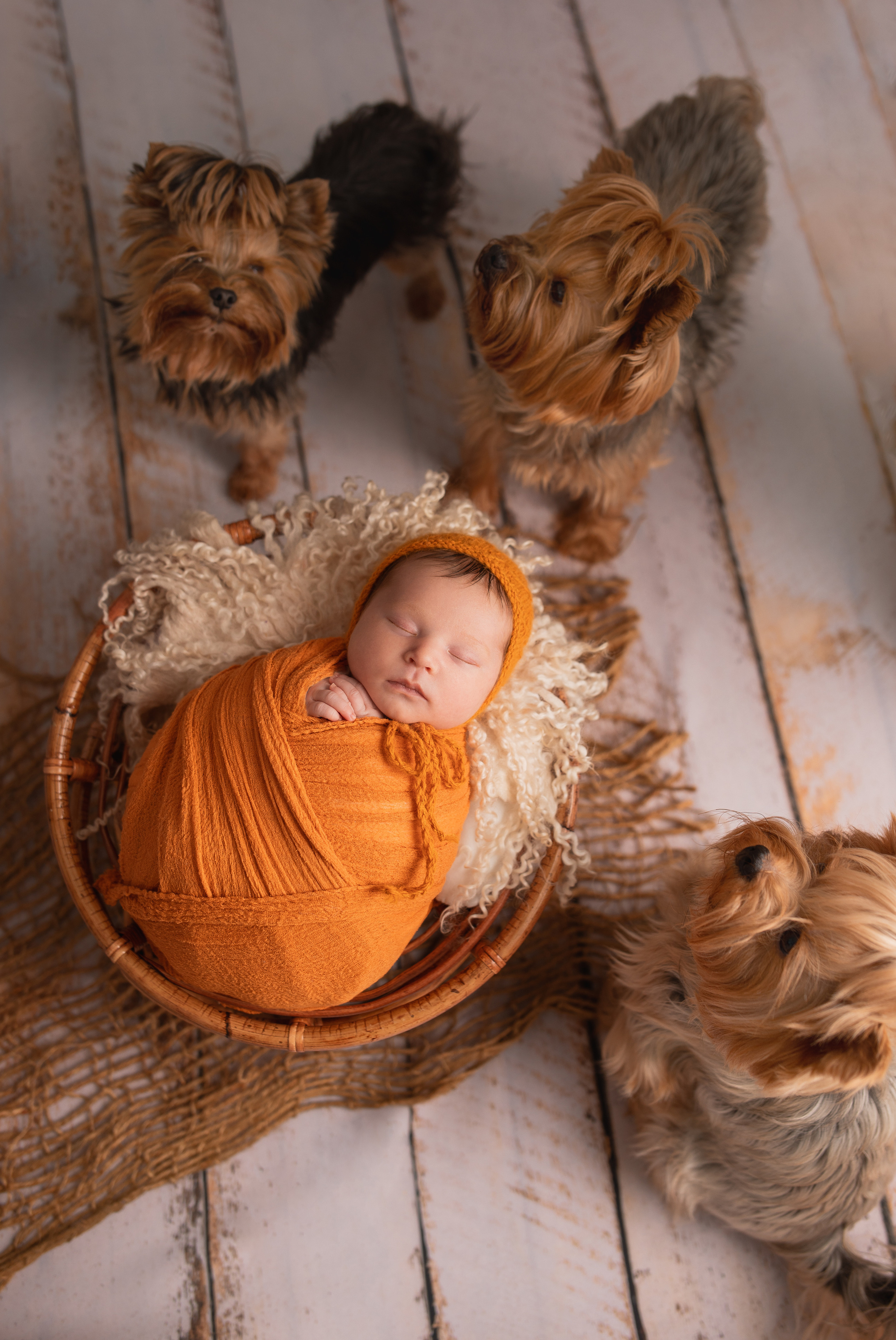 NEWBORN. Valokuvaaja Itä-Uudellamaalla Viktoria photography