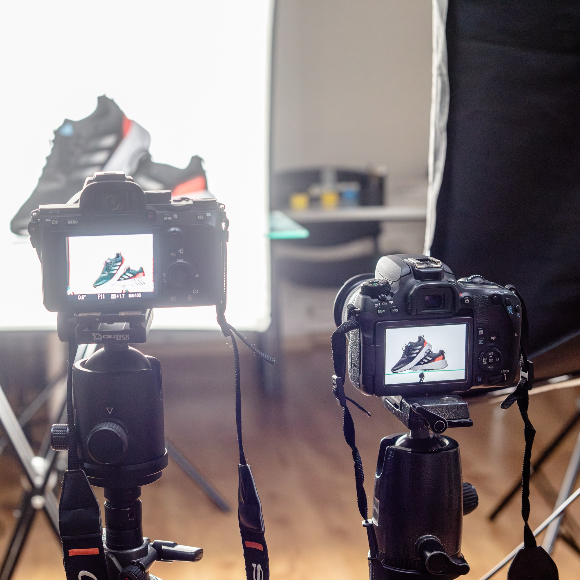 GALERIJA. Fotokursi fotostudijā Rīgā. Profesionāls fotogrāfs Aivars Tipsis