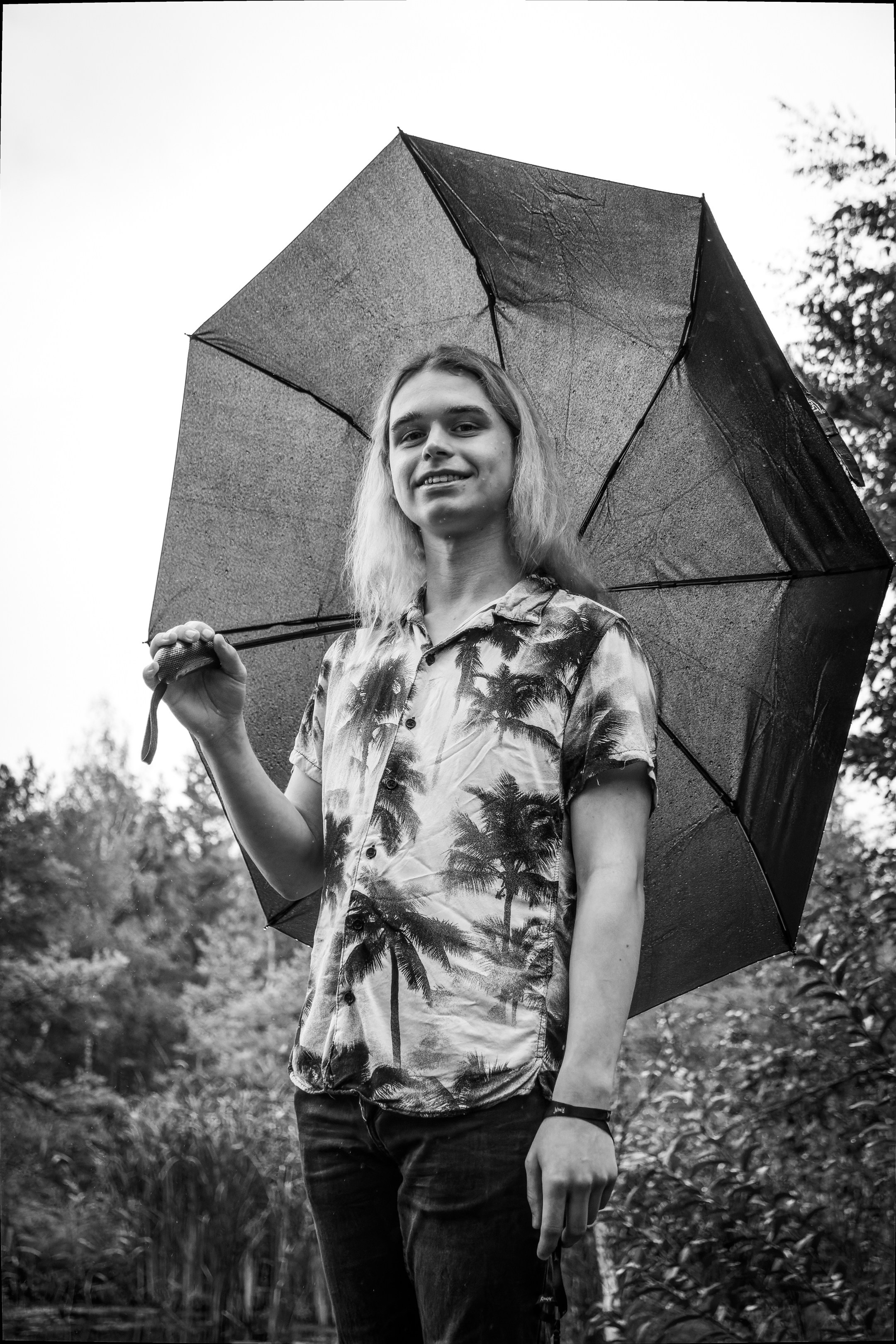 Mets, vihm ja jahedus (Dimitry). Nebula 25 — Fotod teie hingele