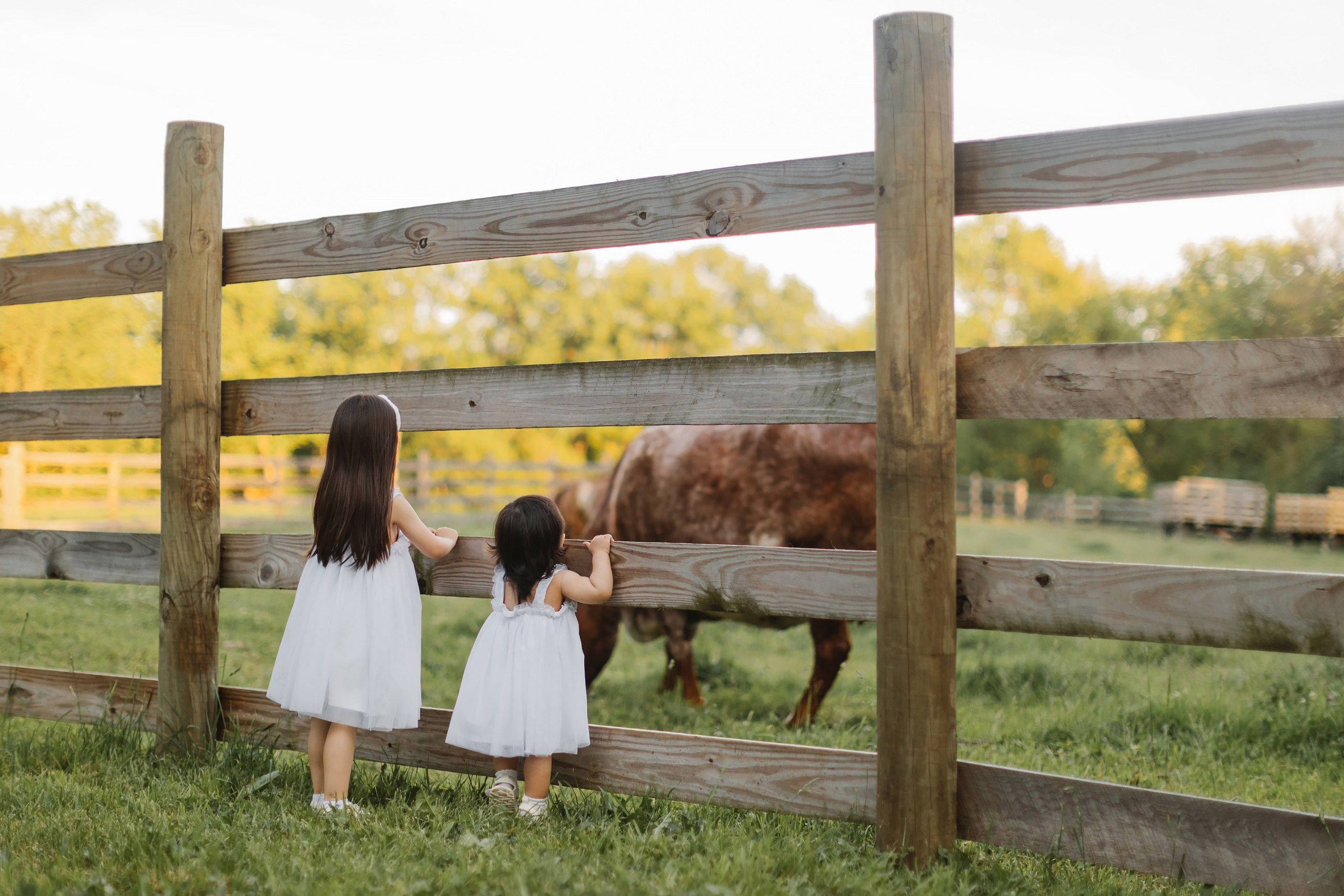 05.25.26 Family Photoshoot. Wedding family event photographer in Chicago Nick Yushevich