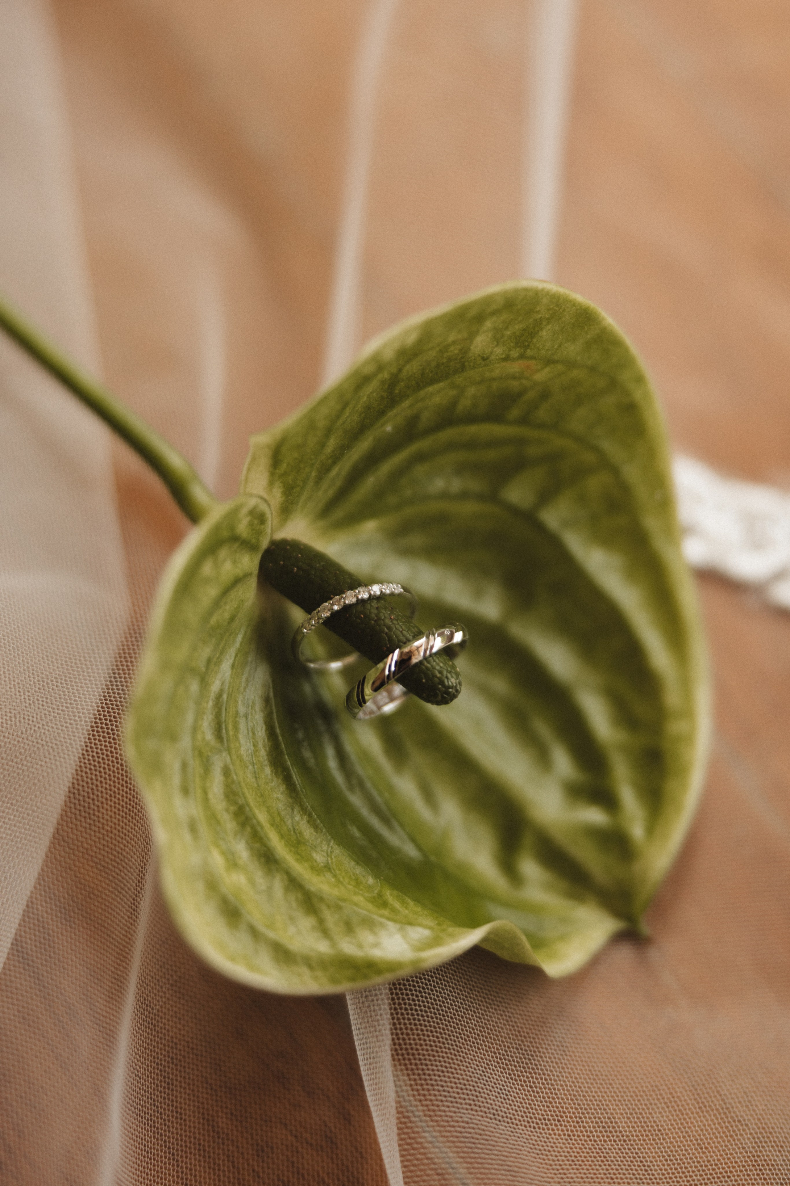 Laura & Arthur. Photographe de mariage et de famille à Braga — Alexandra Mieres Photography