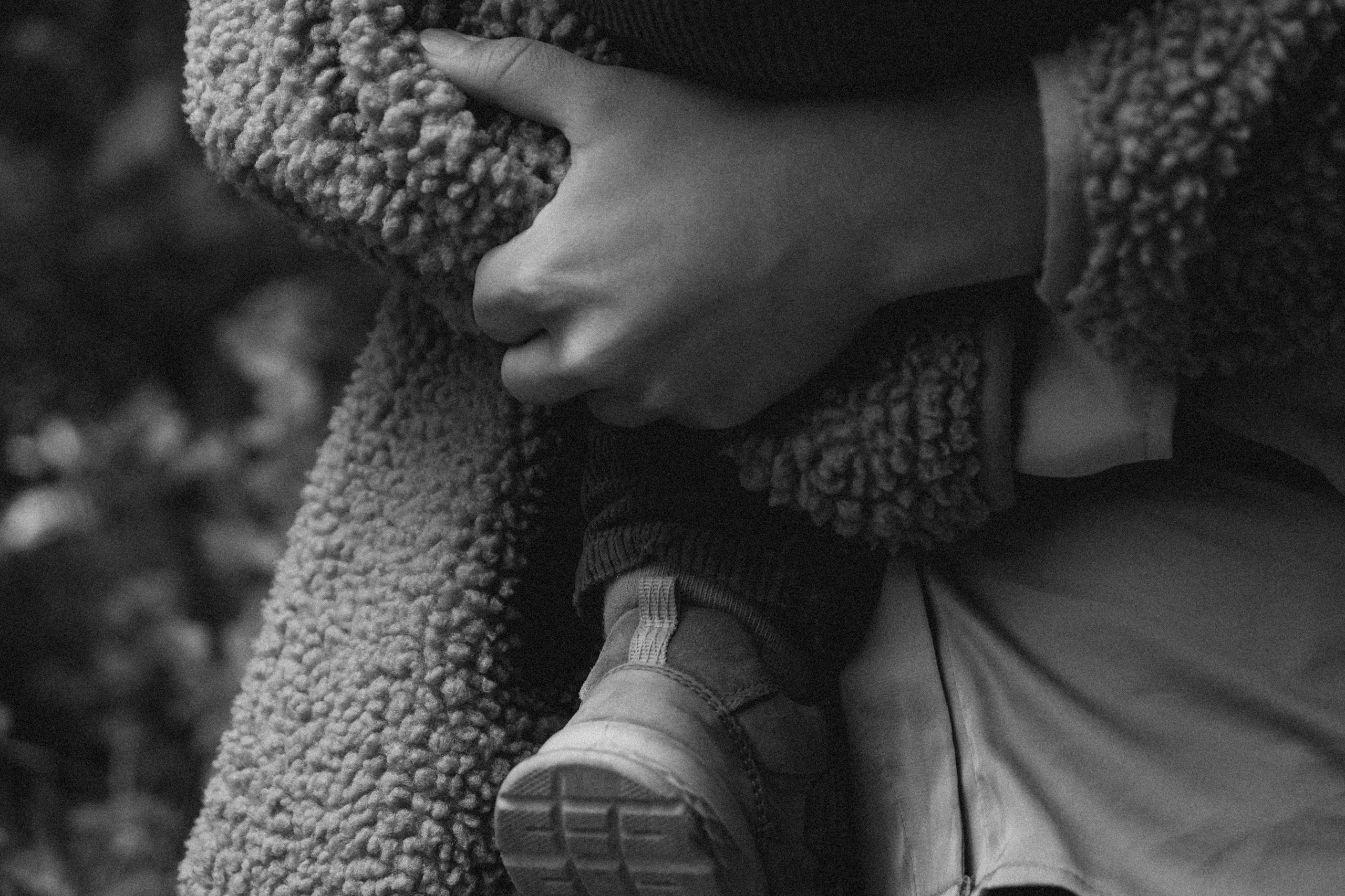 Three generations & one tail. Фотографы Минск и мир