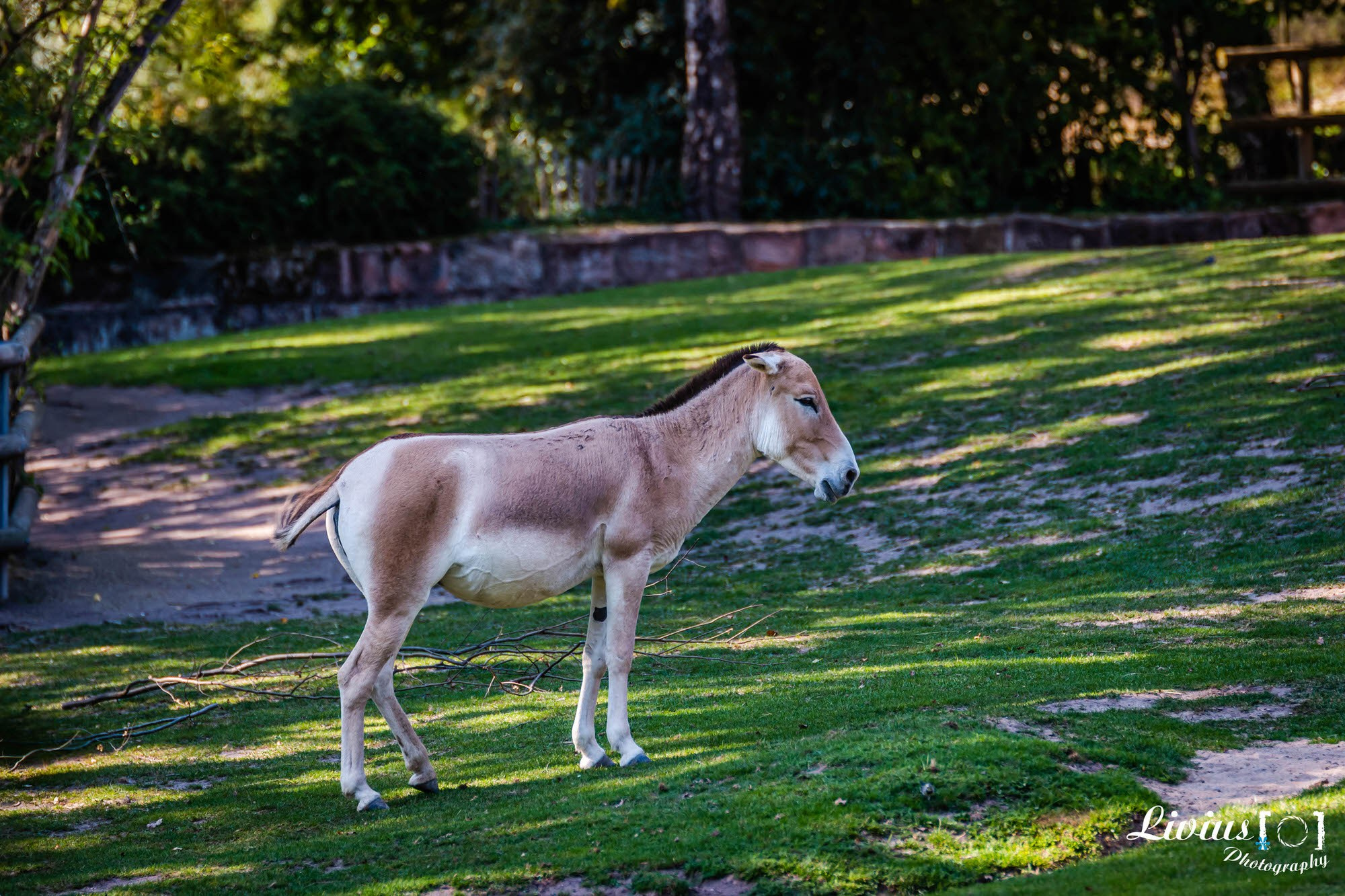 Tierpark Nürnberg. FOTO KREATIV