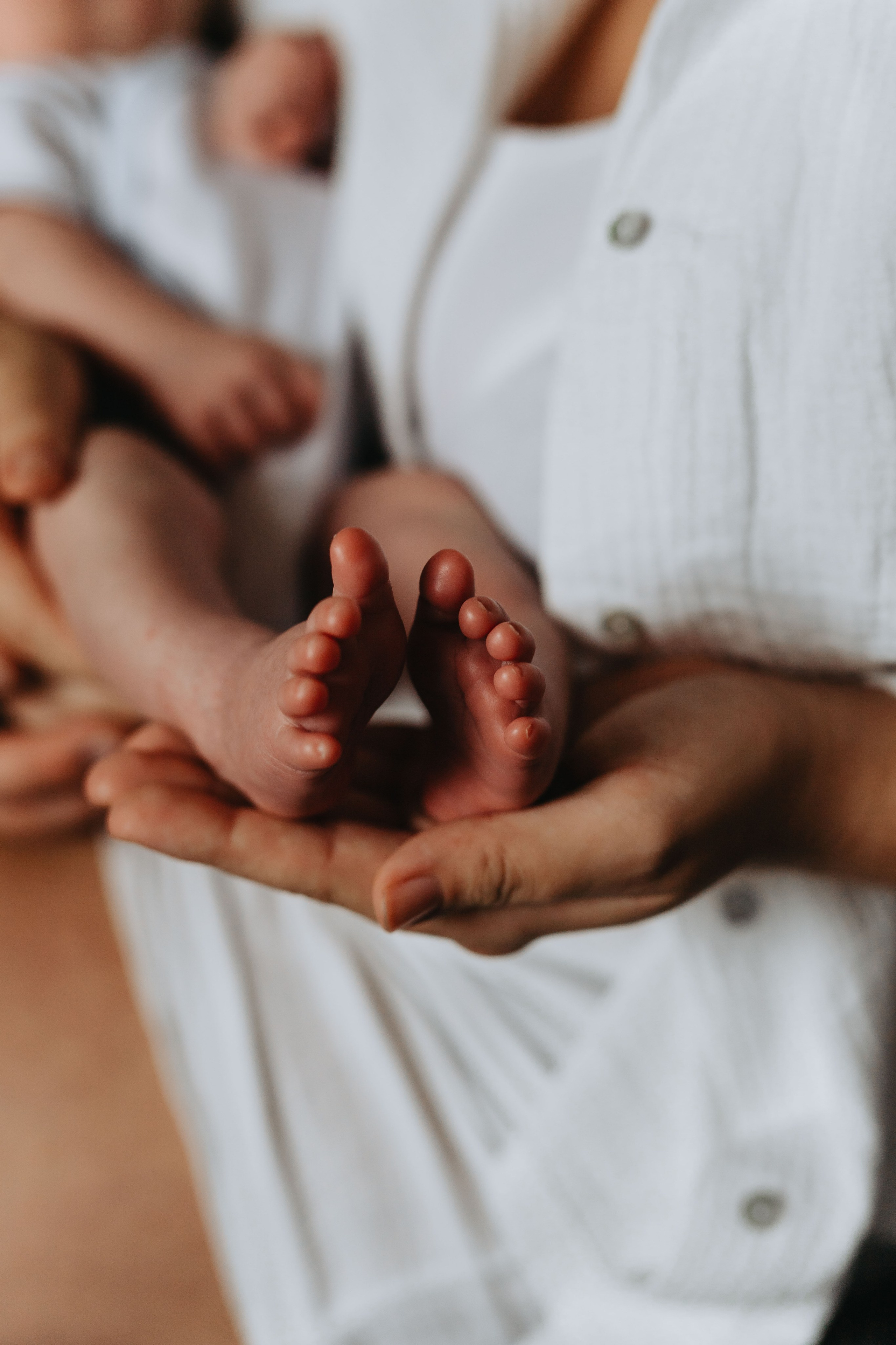 Pierwsza sesja Franka