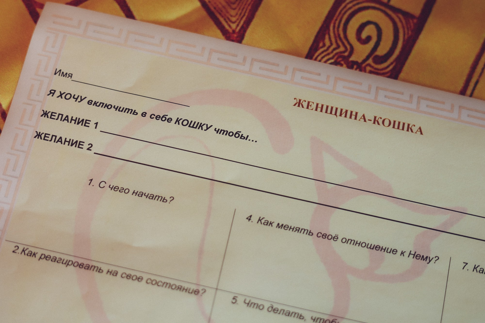 T — WOMEN Game KOSHKA. Main