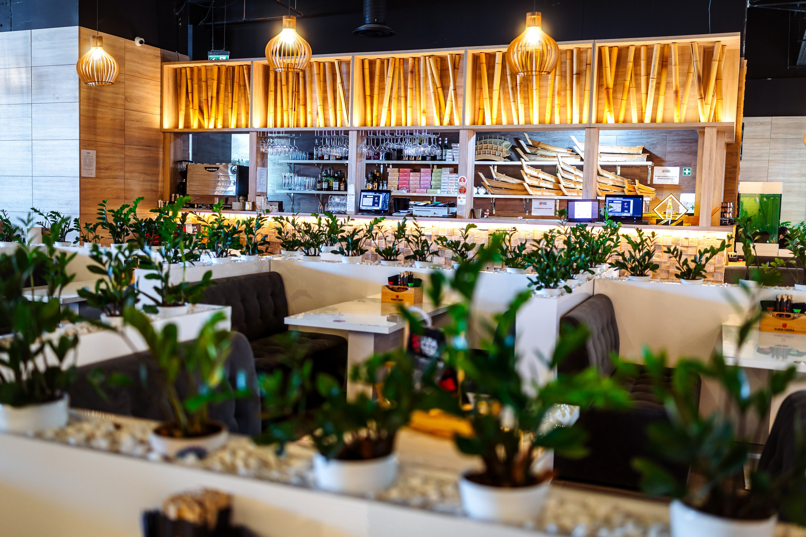 Sushi Terra. Marius Ciocan