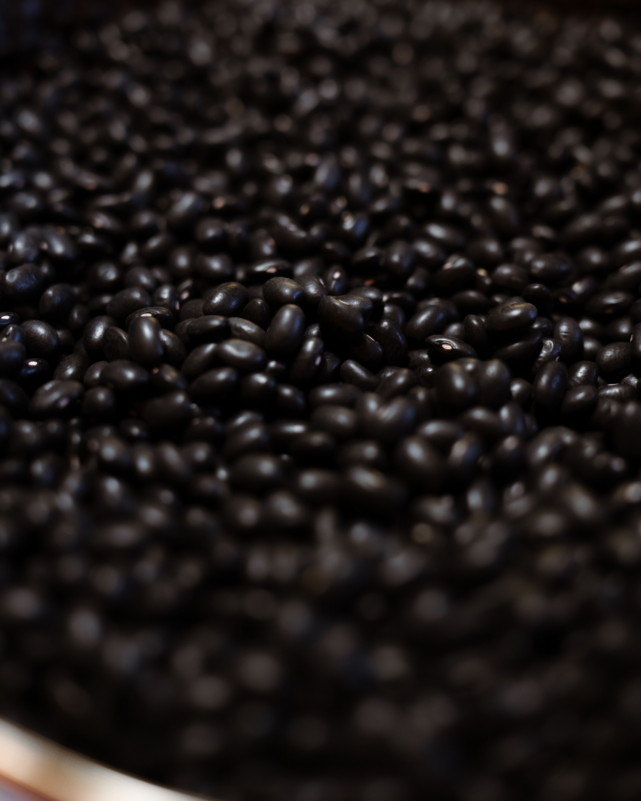 Indus at CUIB. Marius Ciocan