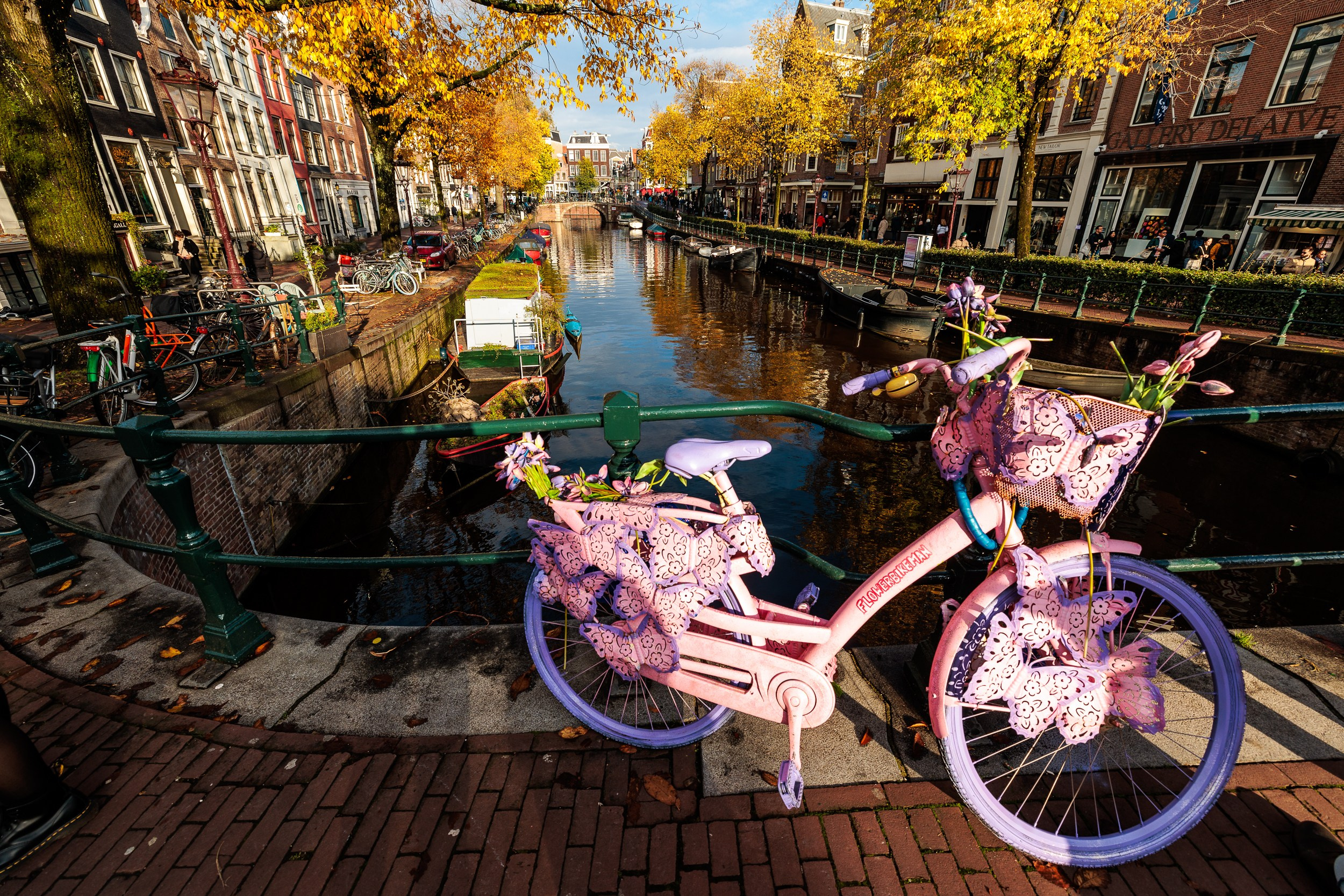 Olanda. Marius Ciocan