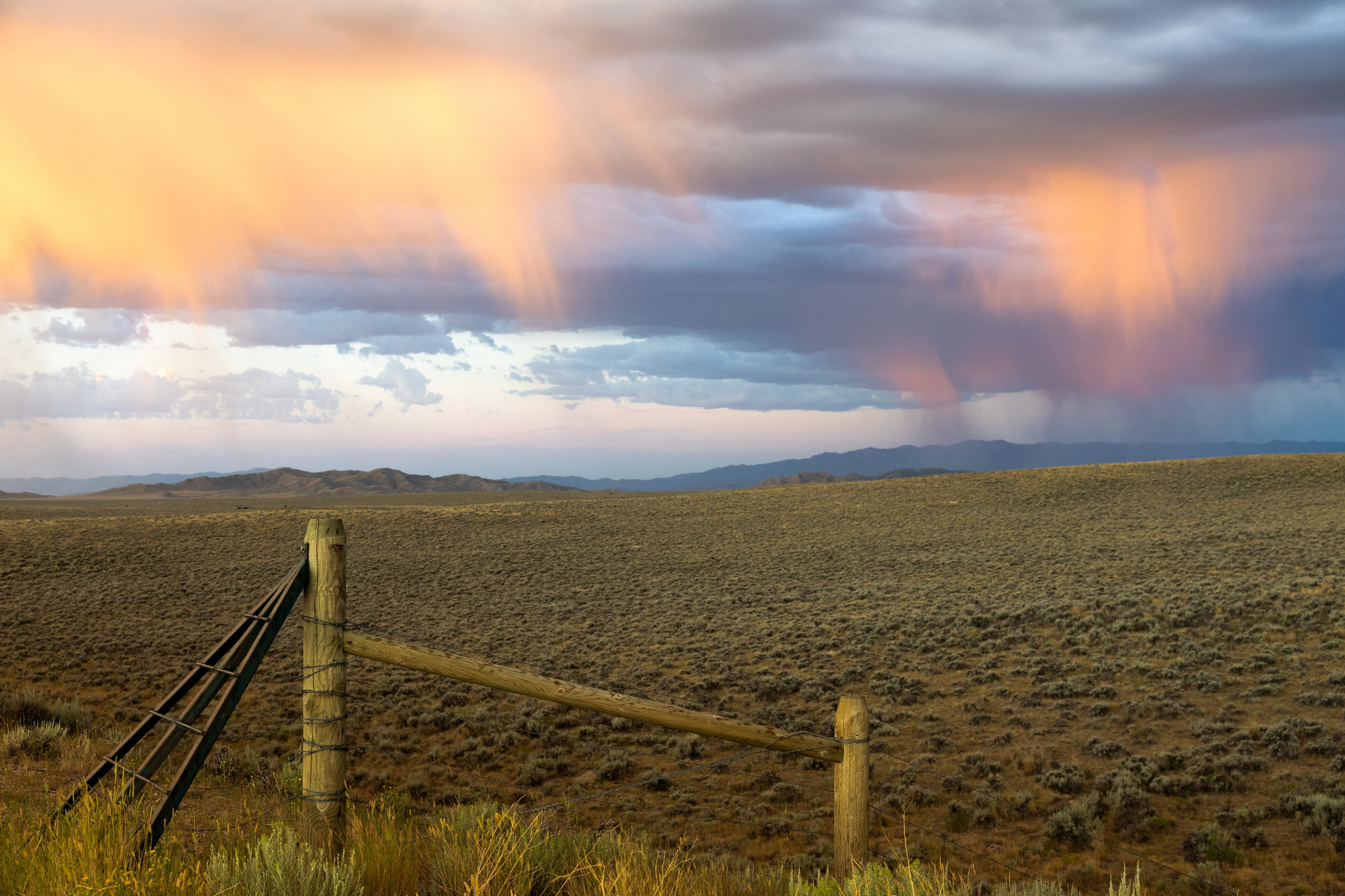 Wyoming. Family Lifestyle Photography