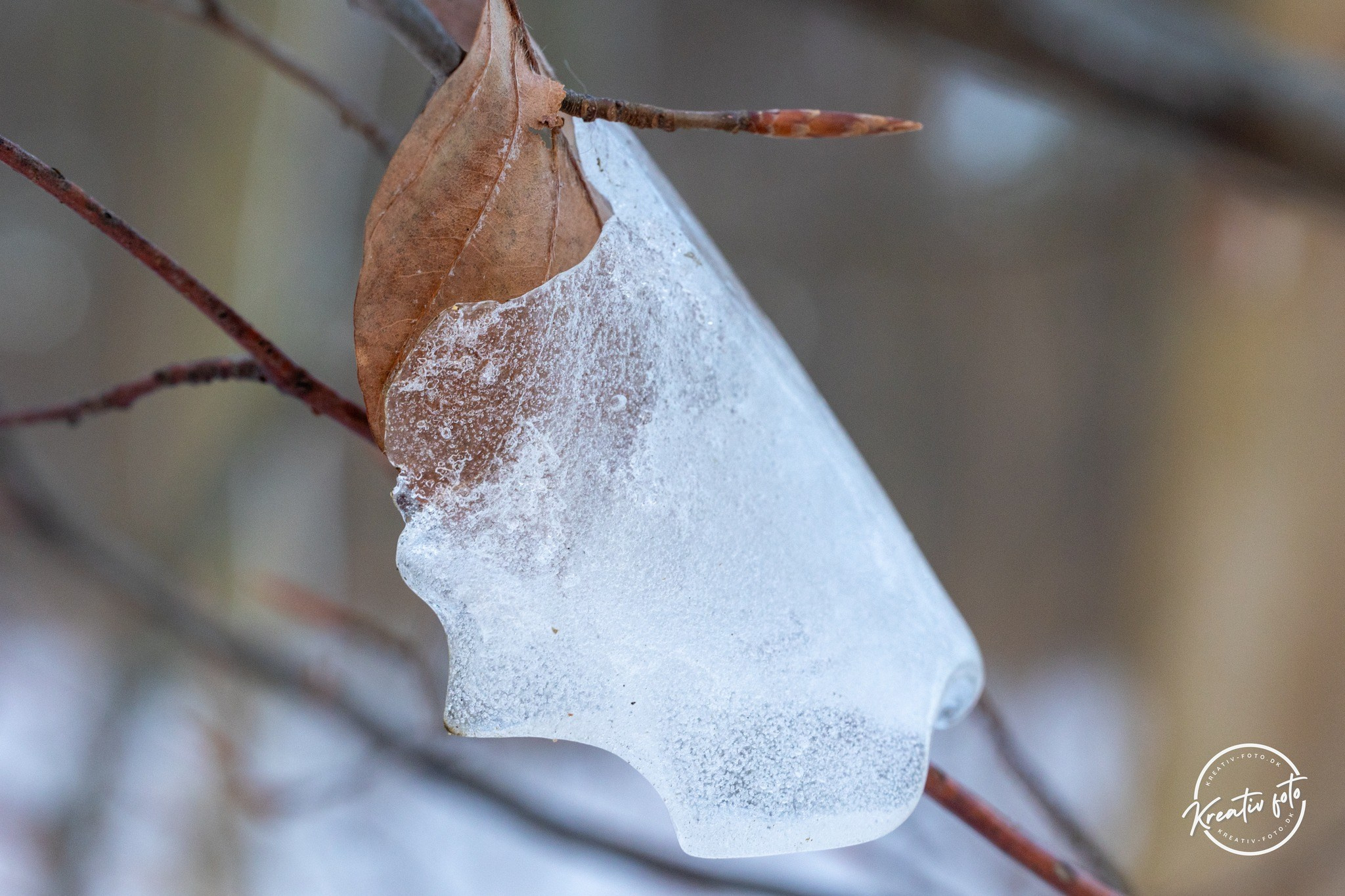 Vinter. Fotograf Aarhus | Portrætfoto Århus | Flotte billeder