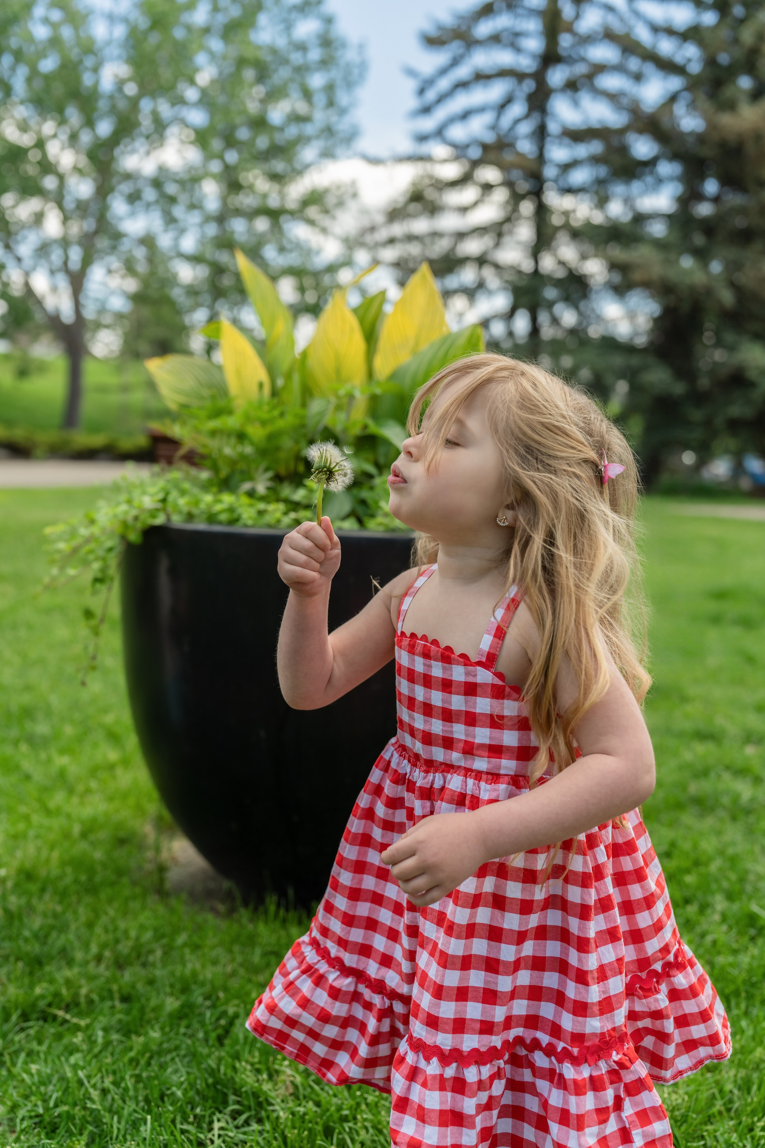 Carolline’s Maternity Session