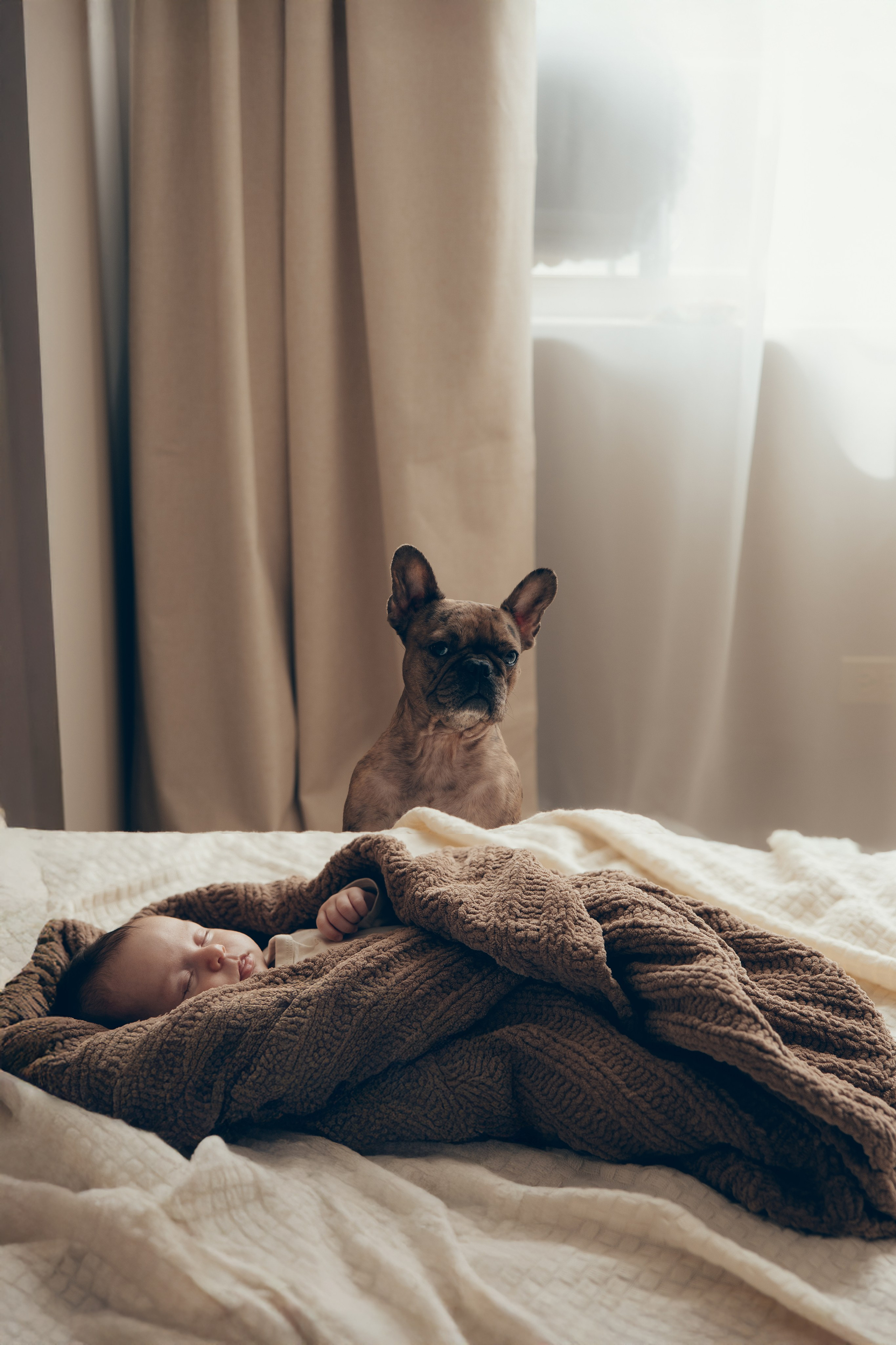 In-Home Baby Photoshoot. Family and children’s photographer and videographer in Chicago