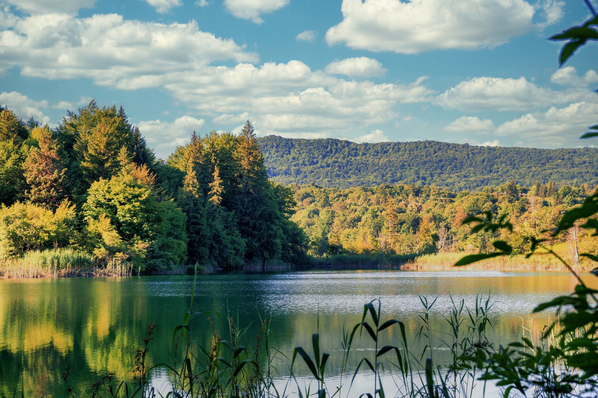 Landscape photography. Wedding photography