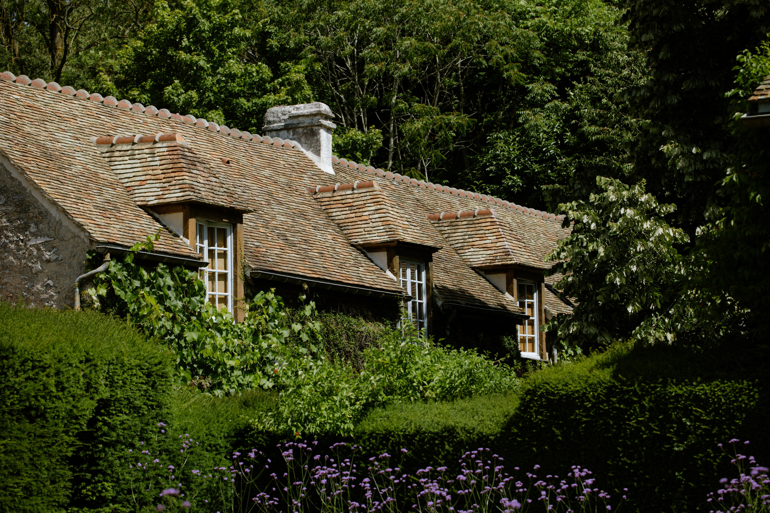 Anthony & Gabrielle. Photographer in Paris